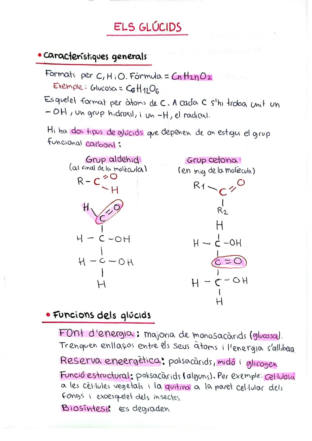 # ELS GLÚCIDS
• Característiques generals
Formats per C,H,O. Fórmula = $C_nH_{2n}O_2$ +
Exemple: Glucosa = $C_6H_{12}O_6$
Esquelet forma