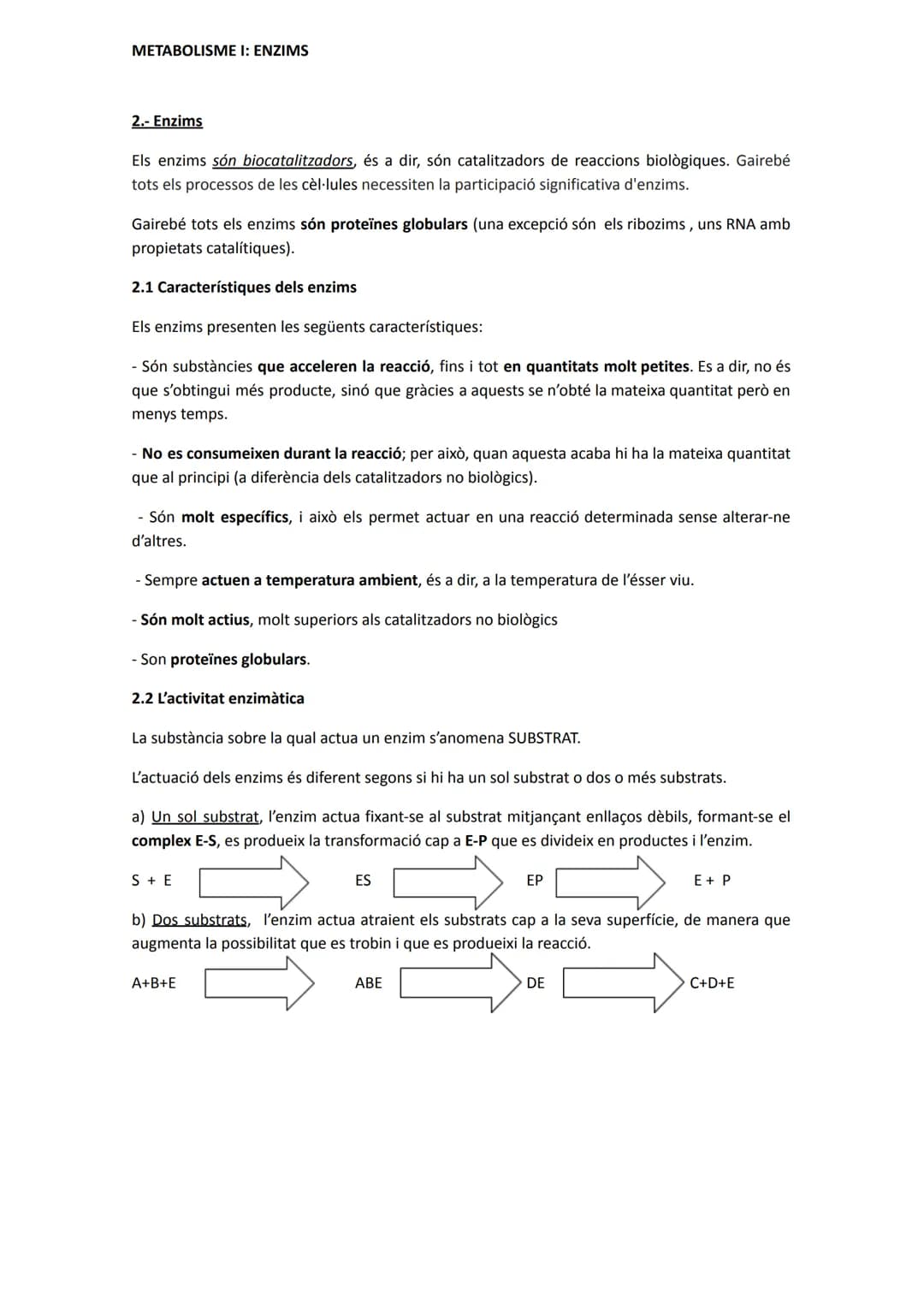 METABOLISME I: ENZIMS
1.- Introducció: conceptes bàsics
El metabolisme cel·lular és el conjunt de reaccions que tenen lloc a la cèl·lula.