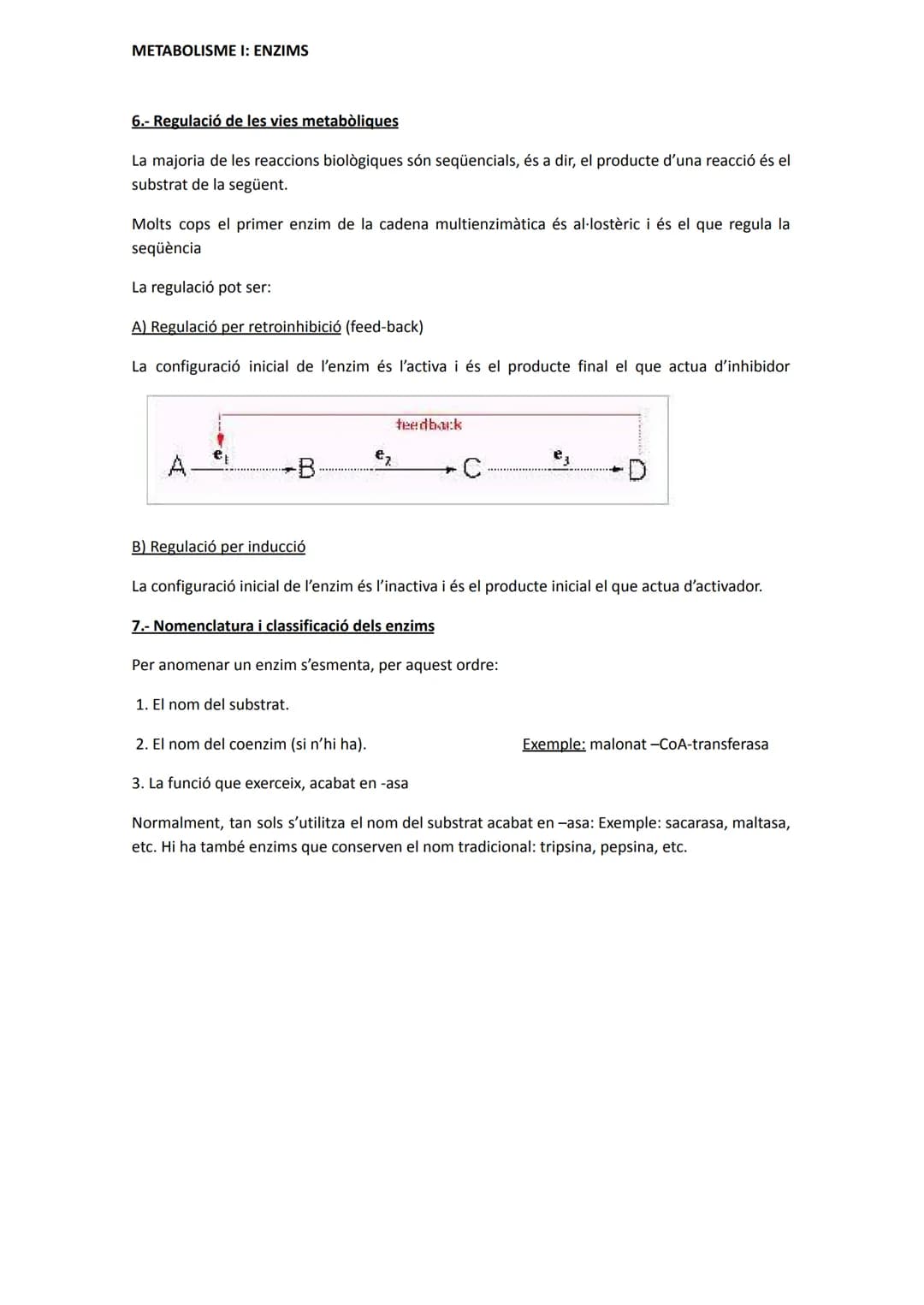 METABOLISME I: ENZIMS
1.- Introducció: conceptes bàsics
El metabolisme cel·lular és el conjunt de reaccions que tenen lloc a la cèl·lula.