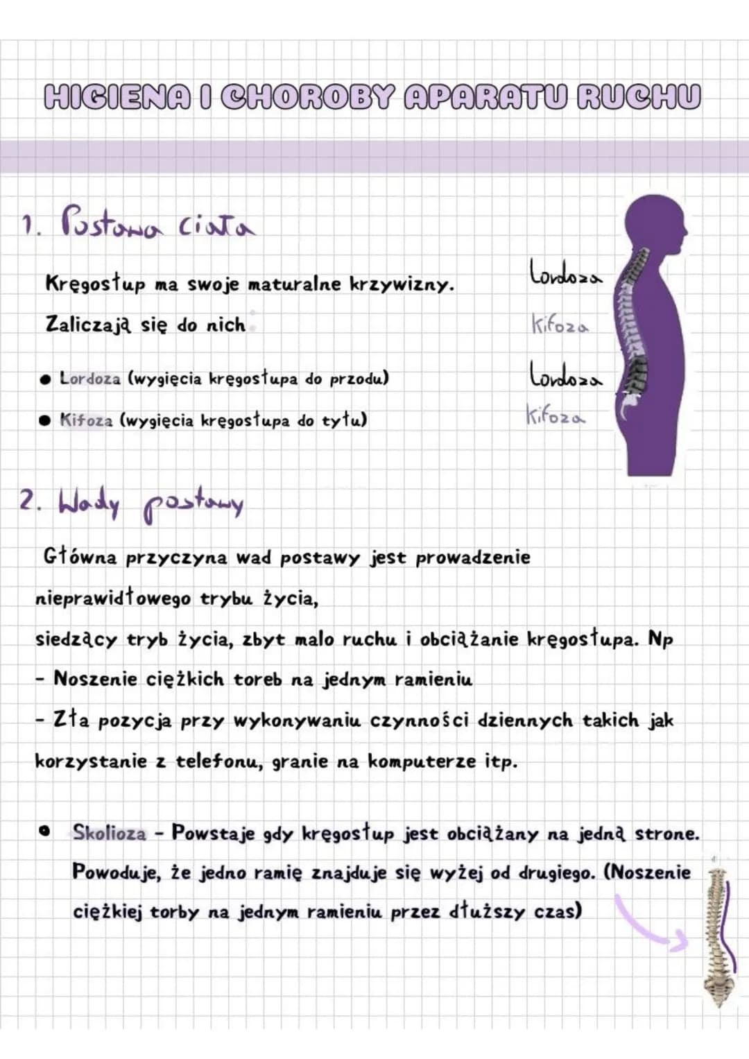 # HIGIENA I CHOROBY APARATU RUCHU
1. Postawa cinta
Kręgosłup ma swoje maturalne krzywizny.
Zaliczają się do nich
Lordoza
Kifoza
Lordoza