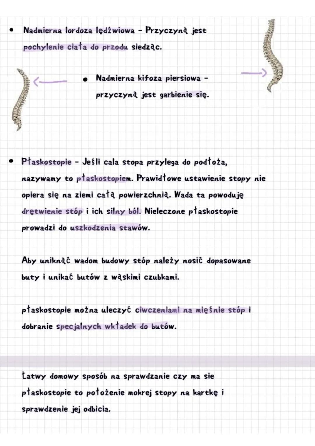 # HIGIENA I CHOROBY APARATU RUCHU
1. Postawa cinta
Kręgosłup ma swoje maturalne krzywizny.
Zaliczają się do nich
Lordoza
Kifoza
Lordoza