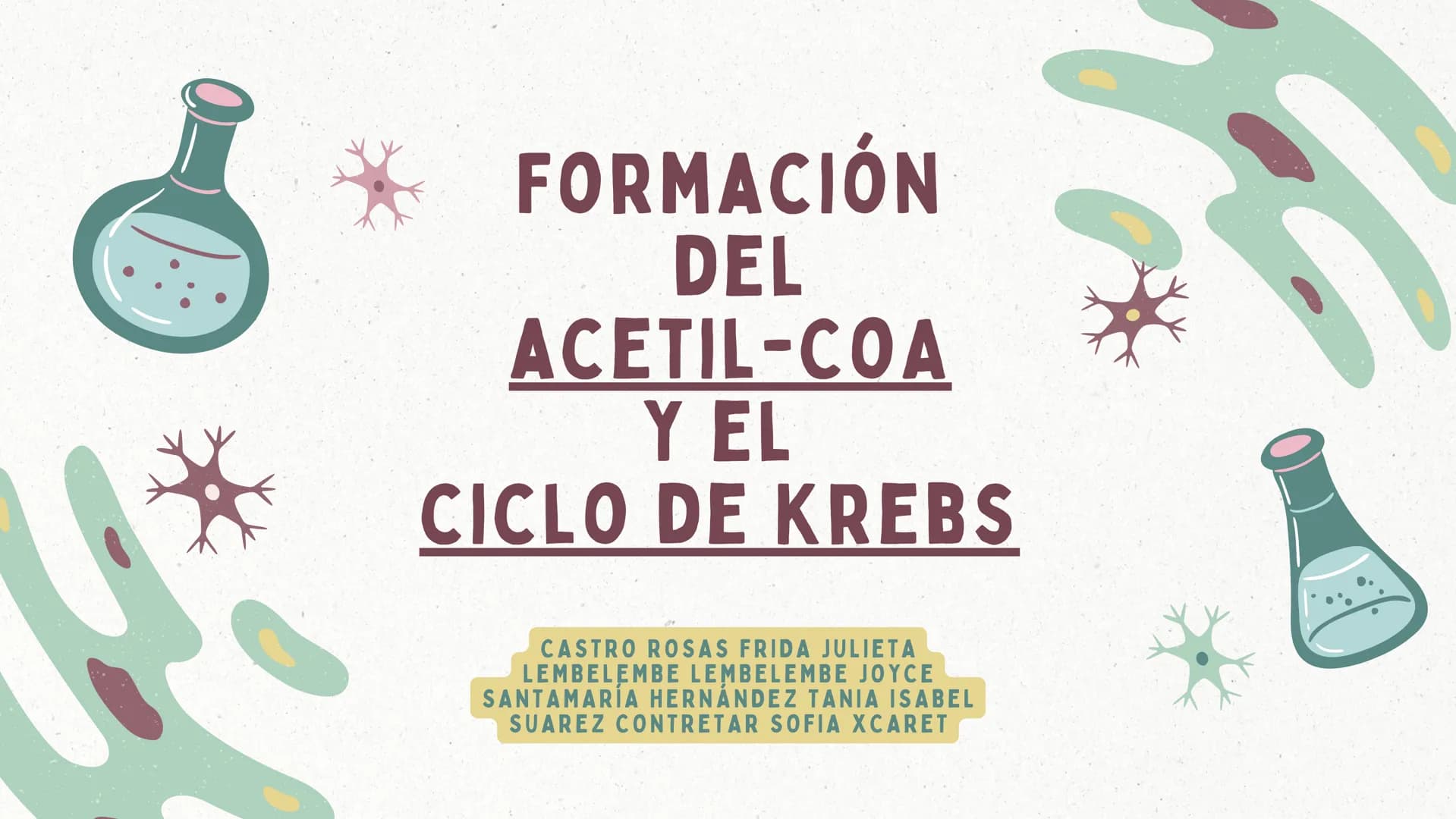 FORMACIÓN
DEL
ACETIL-COA
Y EL
CICLO DE KREBS
CASTRO ROSAS FRIDA JULIETA
LEMBELEMBE LEMBELEMBE JOYCE
SANTAMARIA HERNANDEZ TANIA ISABEL
SUAREZ