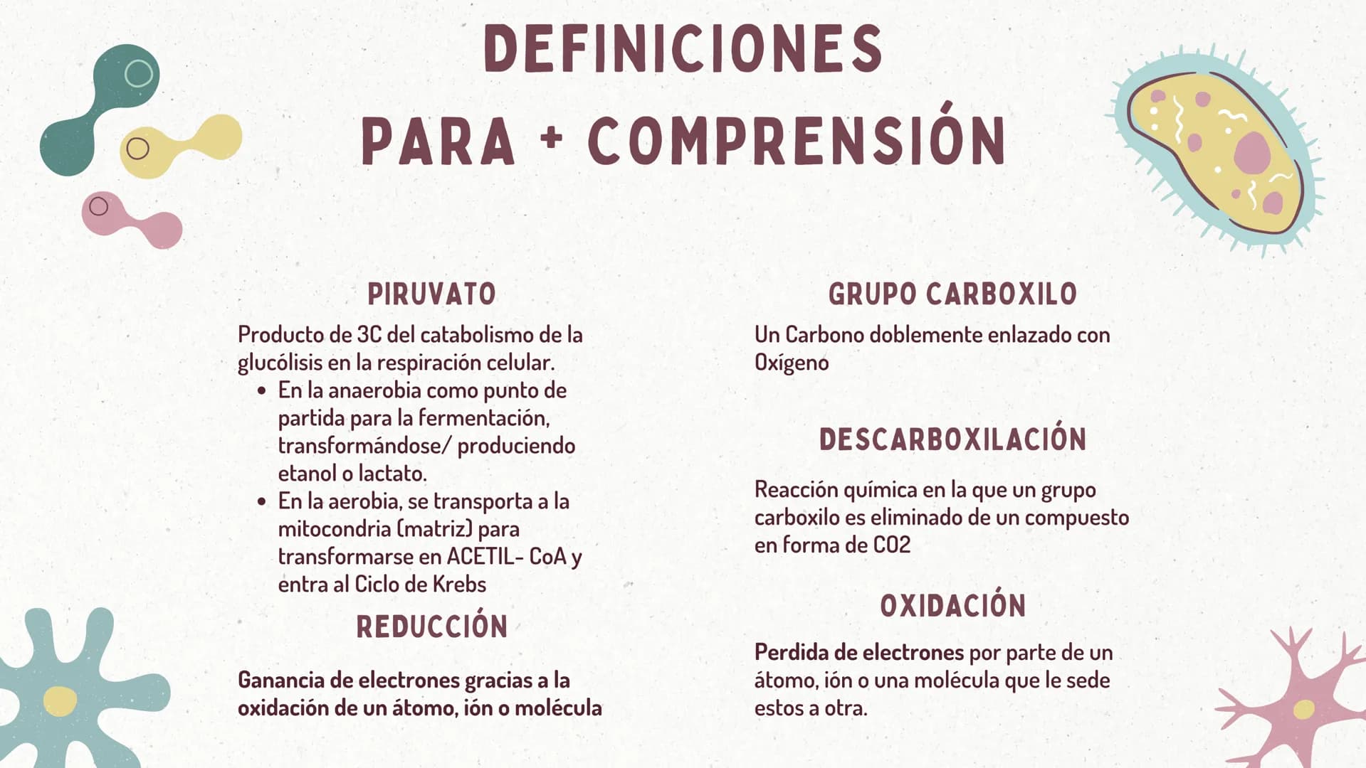 FORMACIÓN
DEL
ACETIL-COA
Y EL
CICLO DE KREBS
CASTRO ROSAS FRIDA JULIETA
LEMBELEMBE LEMBELEMBE JOYCE
SANTAMARIA HERNANDEZ TANIA ISABEL
SUAREZ