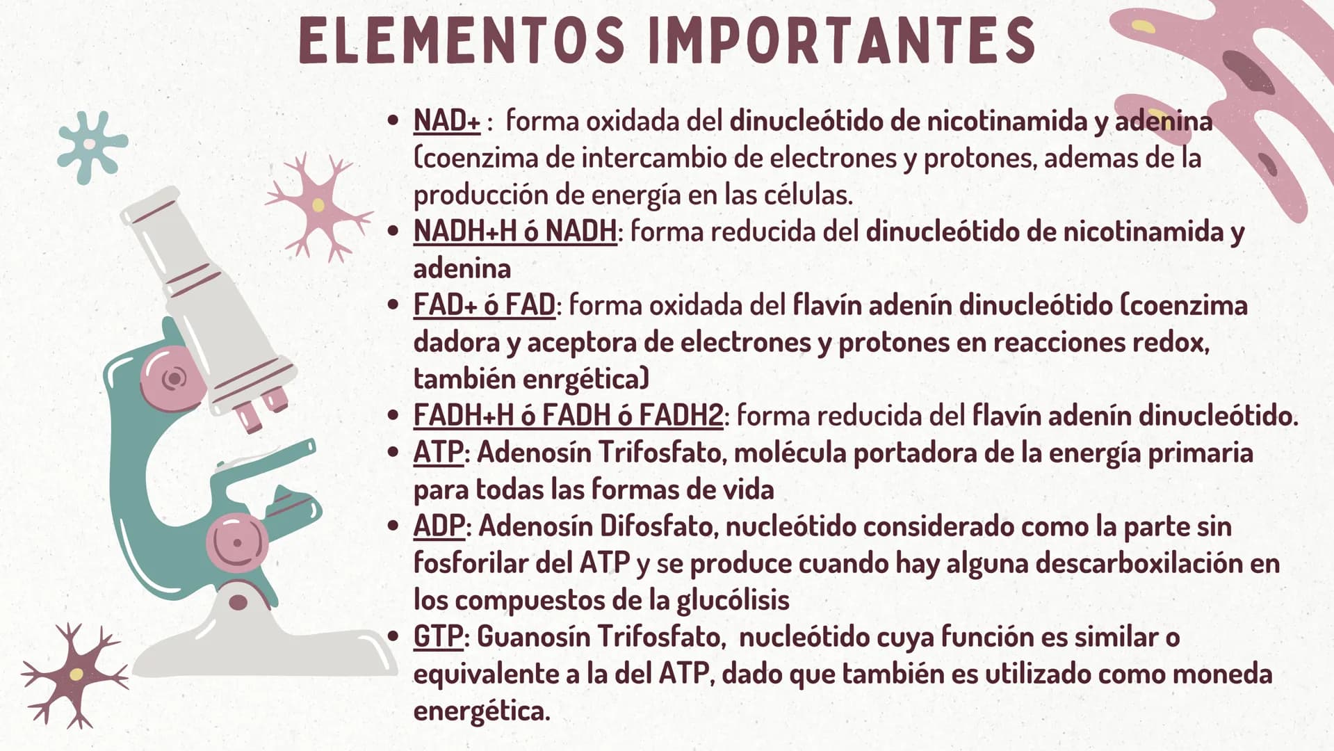FORMACIÓN
DEL
ACETIL-COA
Y EL
CICLO DE KREBS
CASTRO ROSAS FRIDA JULIETA
LEMBELEMBE LEMBELEMBE JOYCE
SANTAMARIA HERNANDEZ TANIA ISABEL
SUAREZ