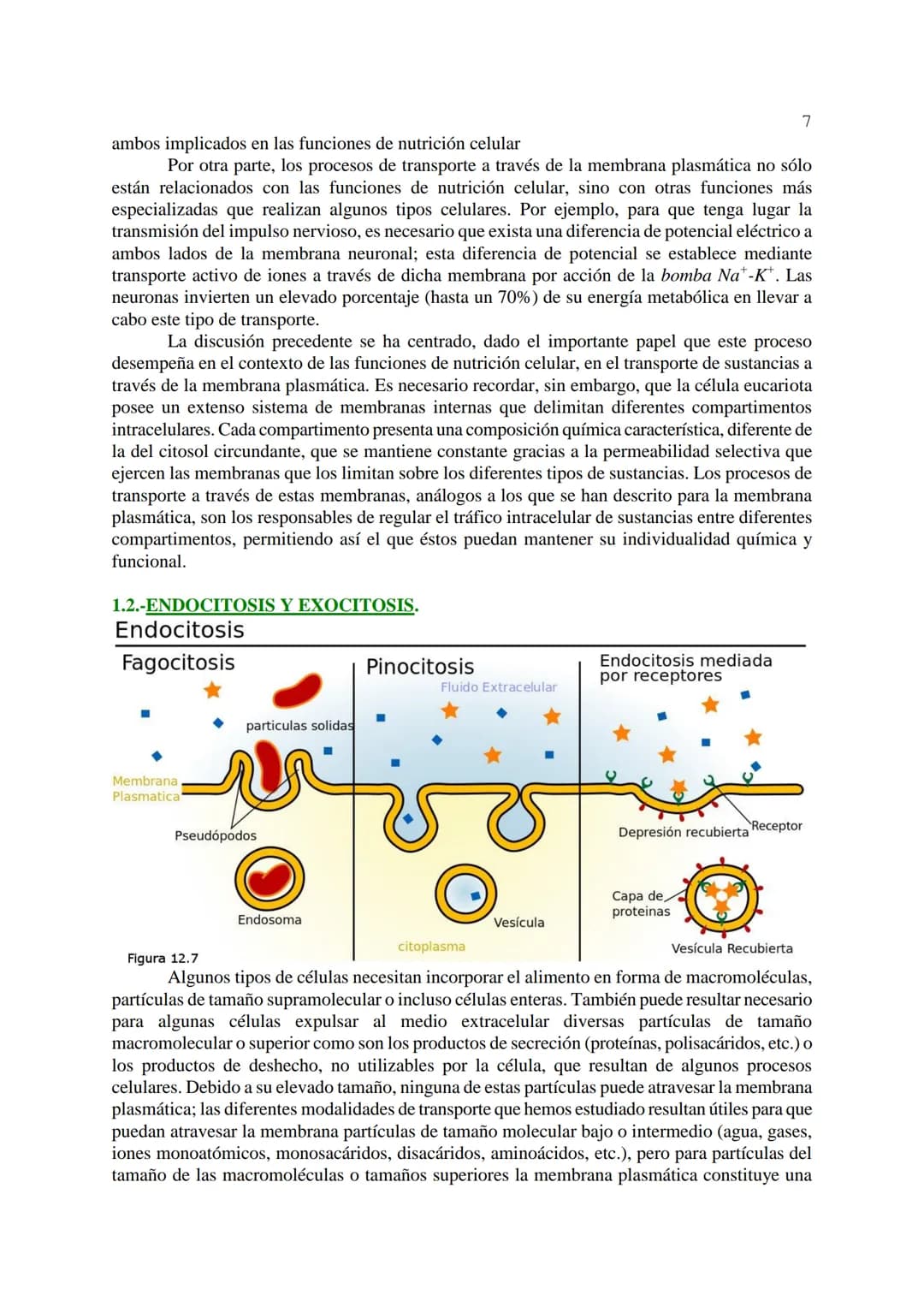 # 1
TEMA 12: FISIOLOGÍA CELULAR.
La célula, en tanto que unidad funcional de los seres vivos, está capacitada para llevar a
cabo las funci