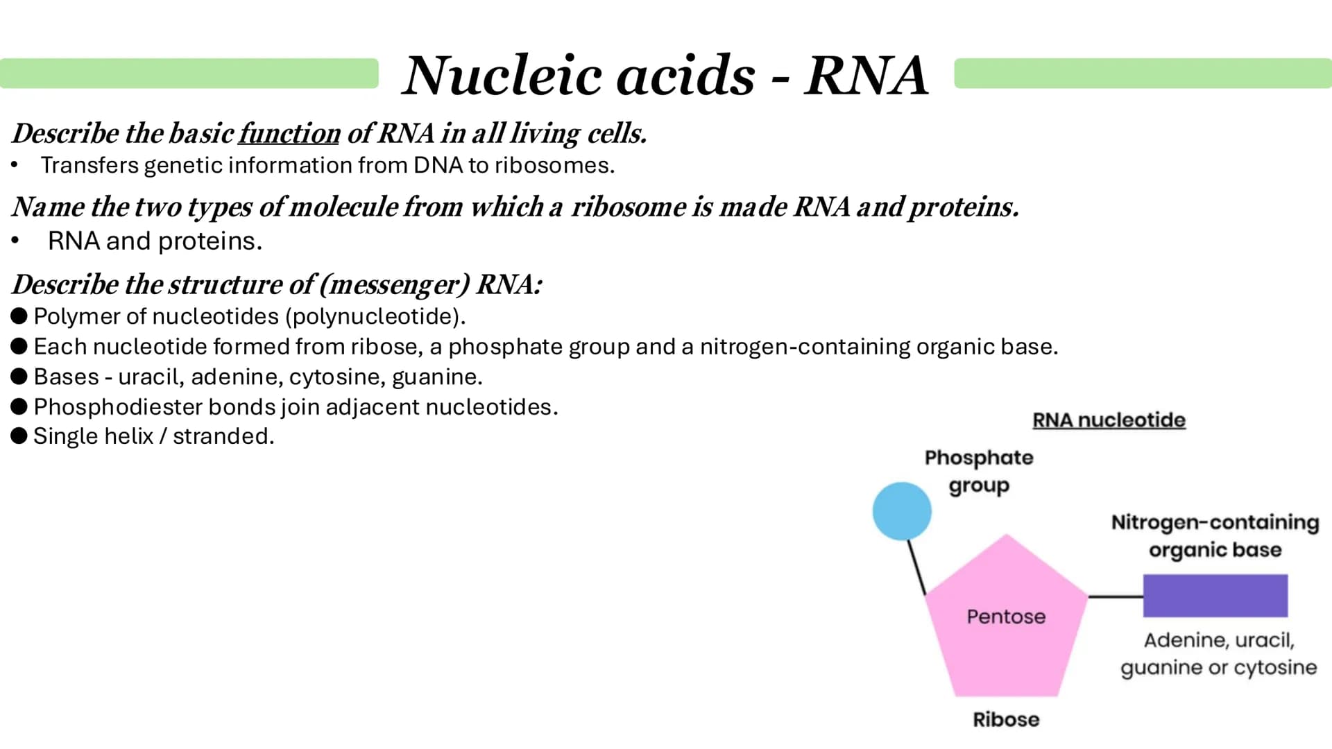 # Nucleic acids - DNA
What is DNA?
It stands for deoxyribonucleic acid.
• It a chemical that genetic material in the nucleus is composed o