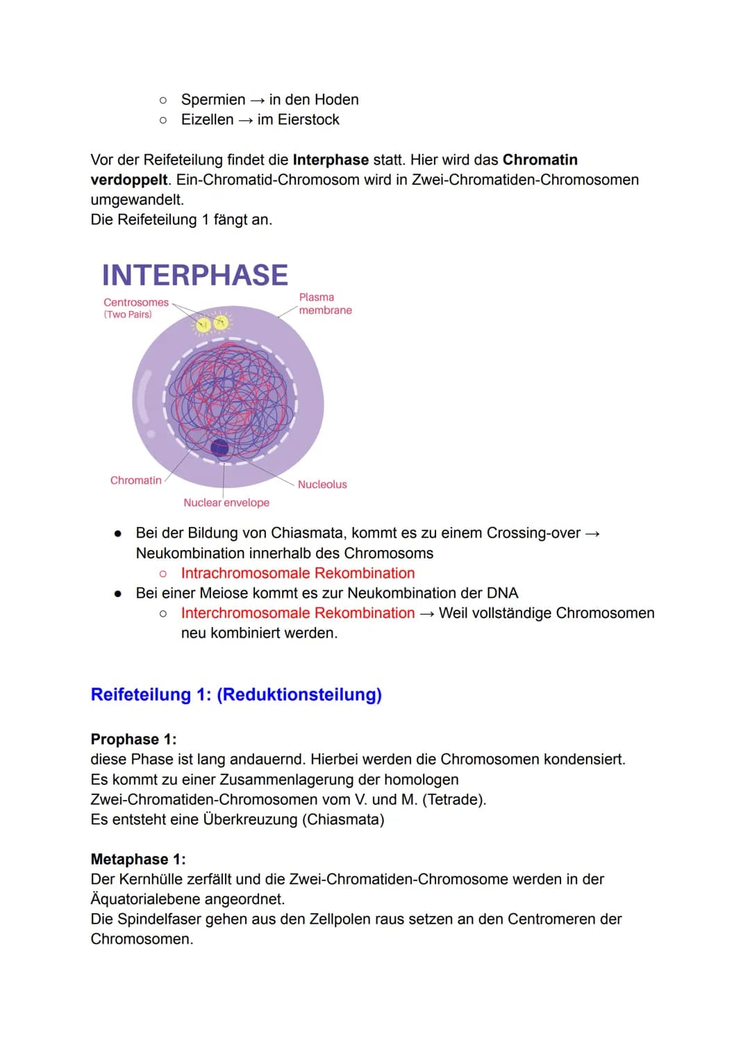# Genetik
## Gene
### Genetik:
Grundbegriffe die in der Genetik sehr häufig vorkommen:
* DNA: Doppelsträngiges Molekül, trägt Erbinfor