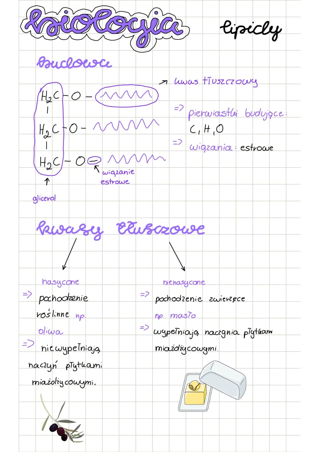 # biologia lipicly
suclowe
$H_2C-o-m$
|
hwas tłuszczowy
=> pierwiastei budujące:
=>
C,H,O
wiązania estrowe
↑
glicerol
wiązanie
es