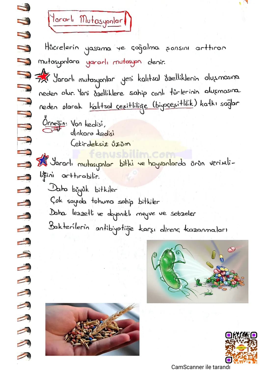 # MUTASYON
DNA'nın kendini eşlemesi sırasında oluşan hatalı
eşleşmeler ya da eşlenmeme gibi durumlarda genlerde
değişmeler meydono gelir.
D