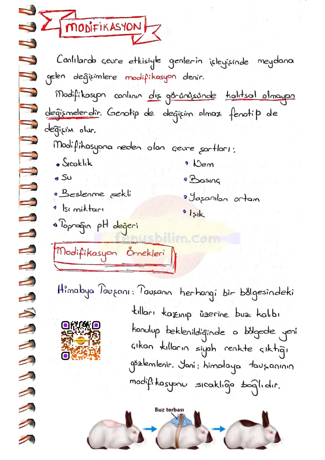 # MUTASYON
DNA'nın kendini eşlemesi sırasında oluşan hatalı
eşleşmeler ya da eşlenmeme gibi durumlarda genlerde
değişmeler meydono gelir.
D