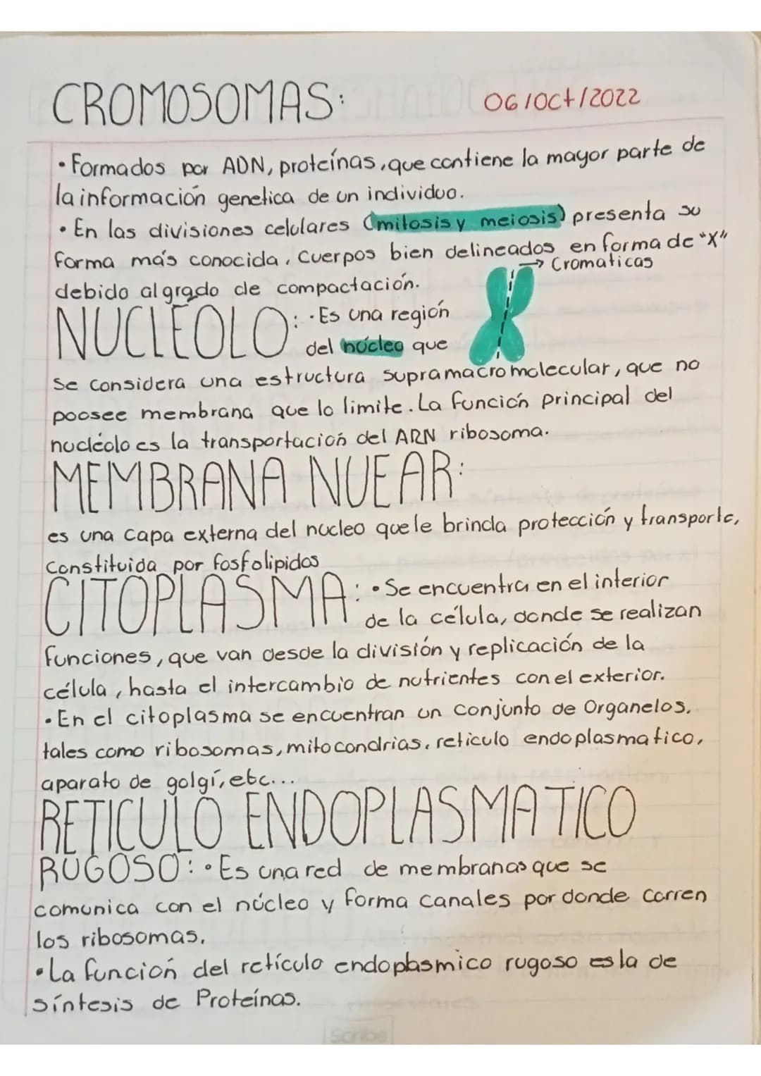 Exámen 12 de Oct.
Es la Unidad anatomo funcional de todo ser vivo. La célula puede
Ser célula procariante o cucarionte.
Células Procariont