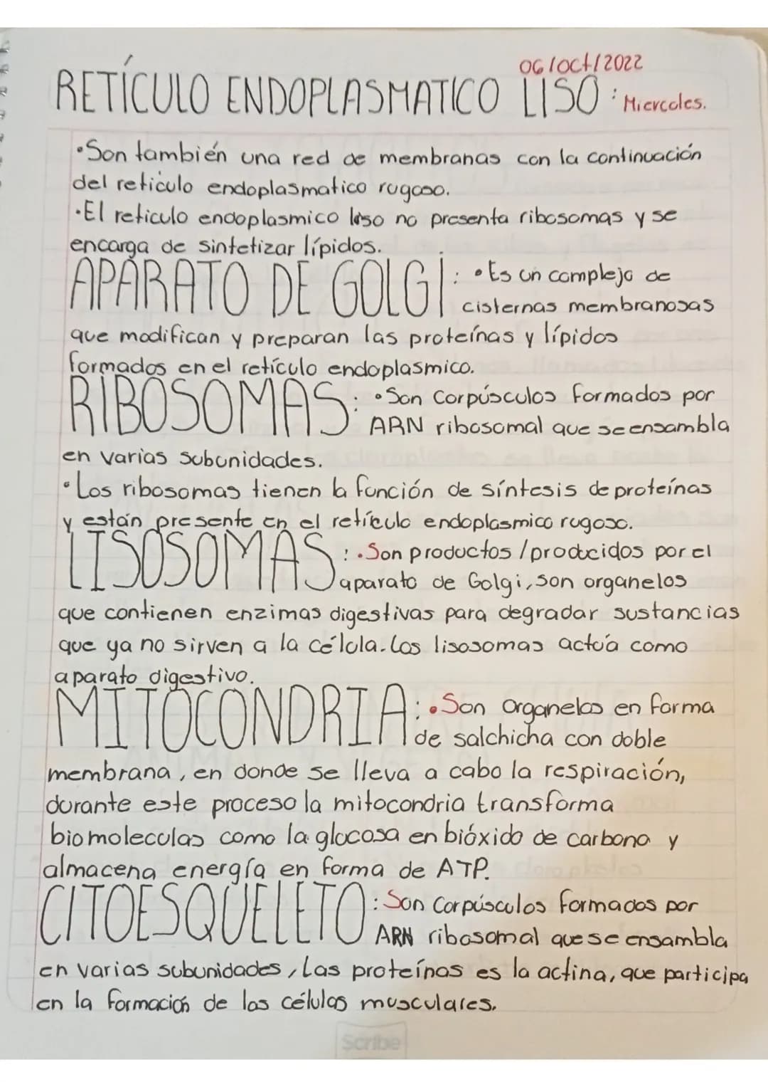 Exámen 12 de Oct.
Es la Unidad anatomo funcional de todo ser vivo. La célula puede
Ser célula procariante o cucarionte.
Células Procariont