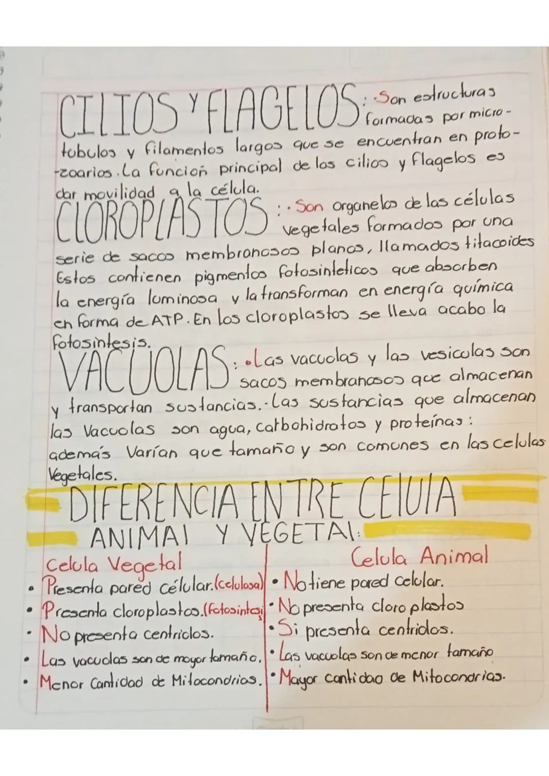 Exámen 12 de Oct.
Es la Unidad anatomo funcional de todo ser vivo. La célula puede
Ser célula procariante o cucarionte.
Células Procariont