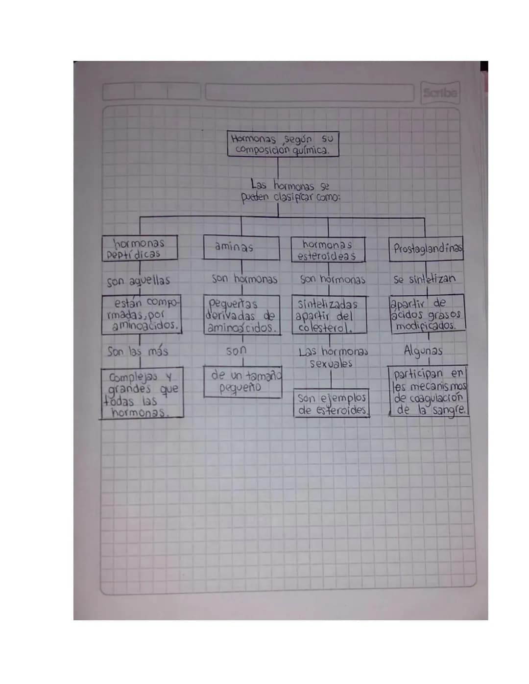 NOMBRE: Allison Sharith Gonzalez Ordoñez.
CURSO: 9-3
MAPAS CONCEPTUALES SOBRE LA GUIA DE LAS
HORMONAS
Scribe
Las hormonas
¿Que son y co