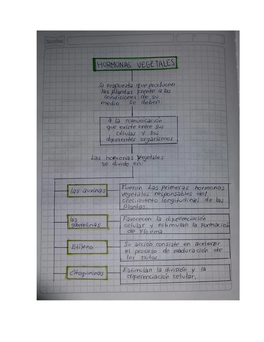 NOMBRE: Allison Sharith Gonzalez Ordoñez.
CURSO: 9-3
MAPAS CONCEPTUALES SOBRE LA GUIA DE LAS
HORMONAS
Scribe
Las hormonas
¿Que son y co