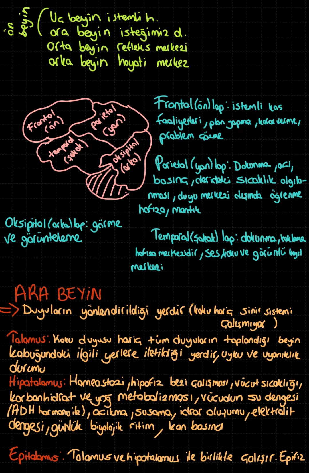 = Biyoloji Özeti
Sinirlerle verilen tepkiler erken baslor,
erken biter.
() Duyu organlarındaki özelleşmiş hücreler olan
reseptörler, çevre