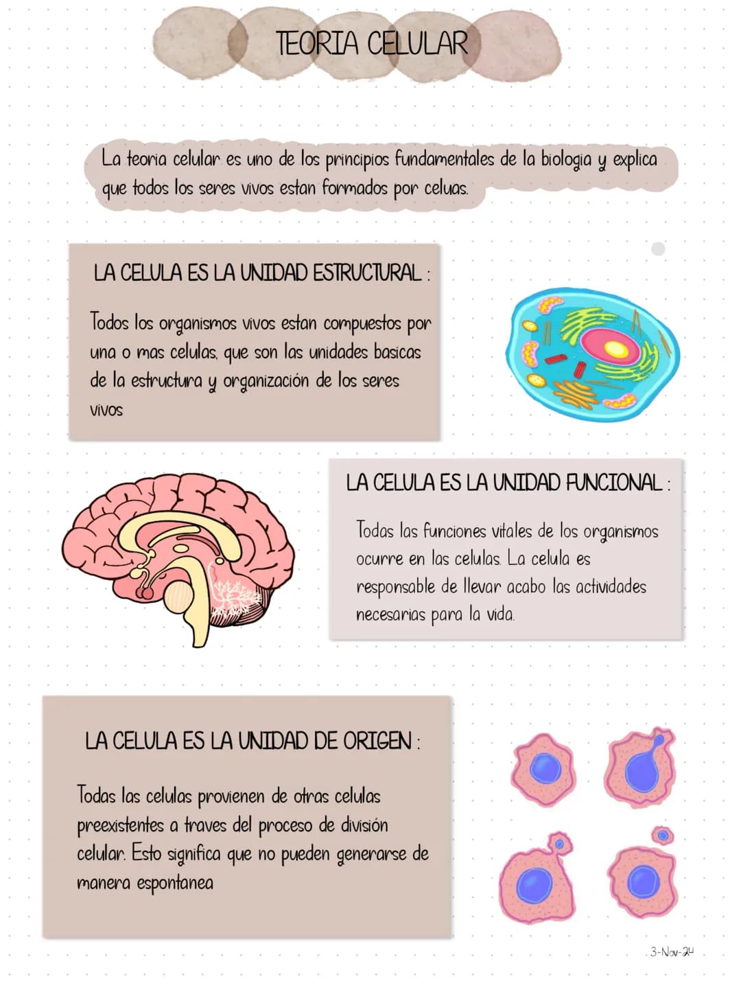 # TEORIA CELULAR
La teoria celular es uno de los principios fundamentales de la biologia y explica
que todos los seres vivos estan formados