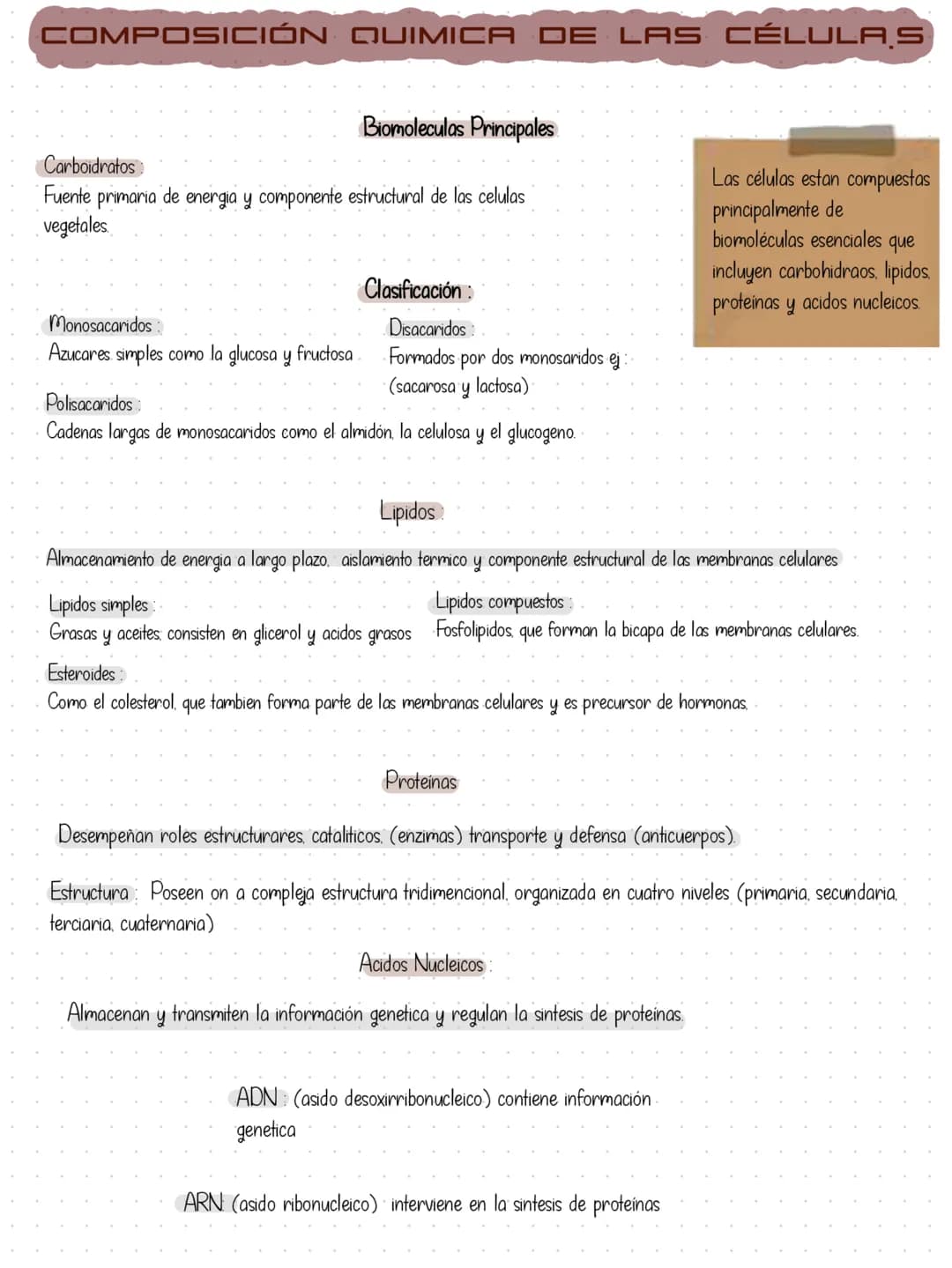 # TEORIA CELULAR
La teoria celular es uno de los principios fundamentales de la biologia y explica
que todos los seres vivos estan formados