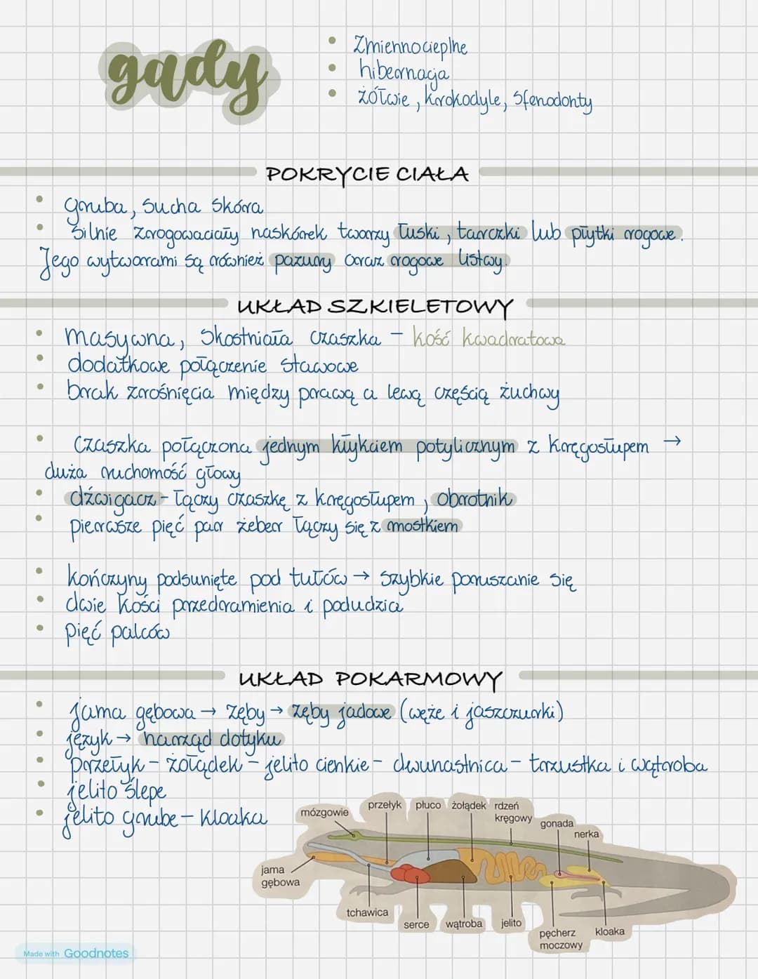 # gady
* Zmiennocieplne
* hibernacja
* Żółwie, Krokodyle, Sfenodonty
## POKRYCIE CIAŁA
* Griba, Sucha Skóra
* Silnie zrogowacia