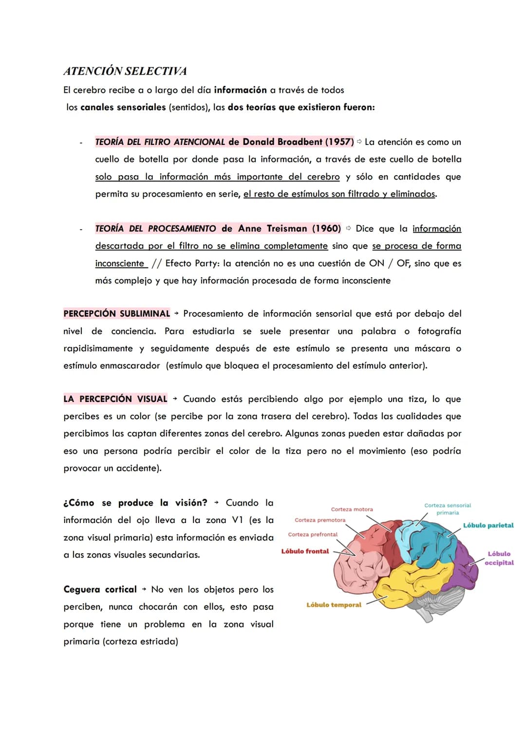 SENSACIÓN Y PERCEPCIÓN
Sensación Detección de energia a través de los organos sensoriales. Cuando pasan
a nuestro cerebro aparece la percep