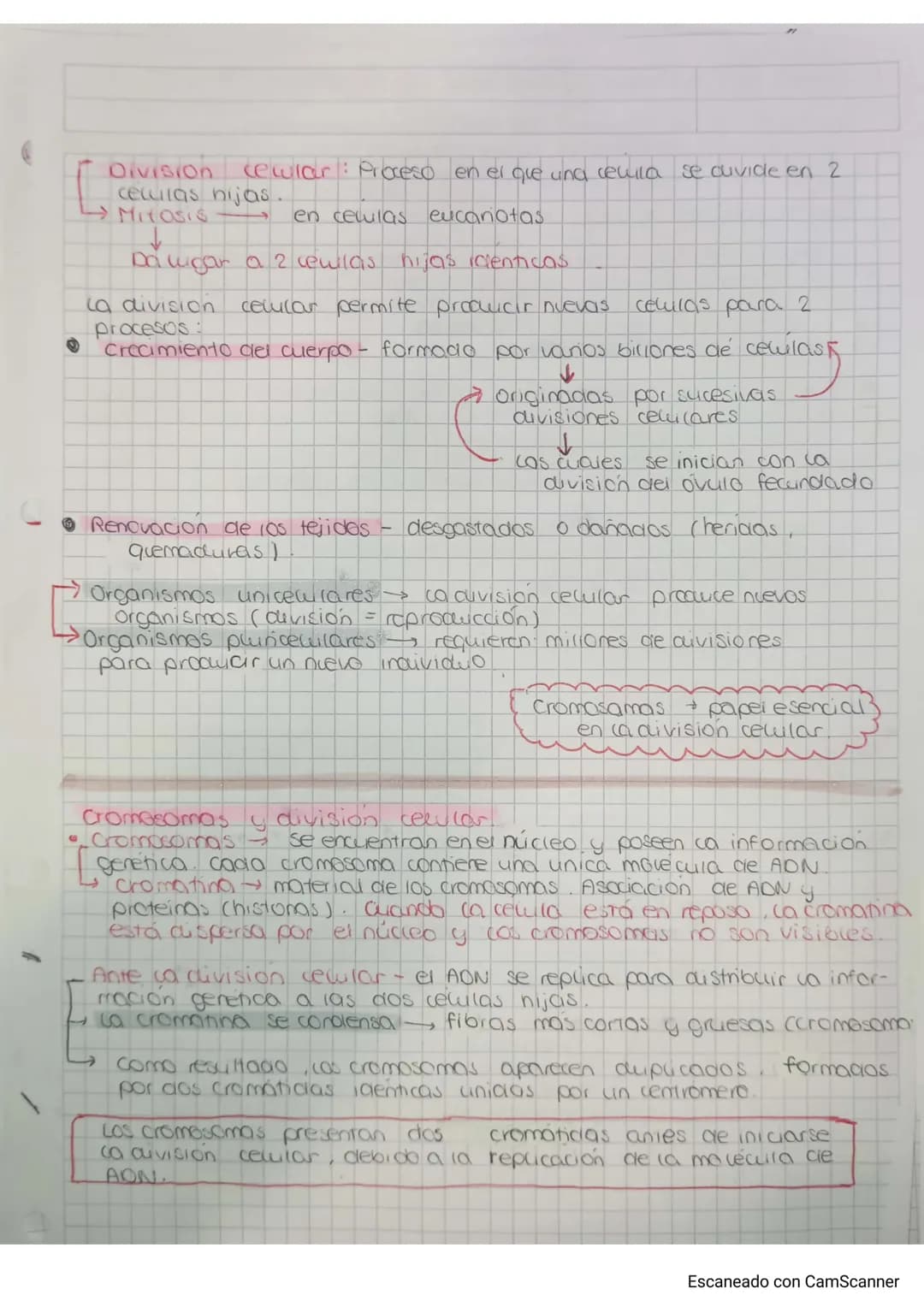 - Division cewlar: Proceso en el que una reuila se ouvide en 2
cellulas nijas.
- MITOSIS en celulas eucariotas.
- Dawgar a 2 cewlas hijas