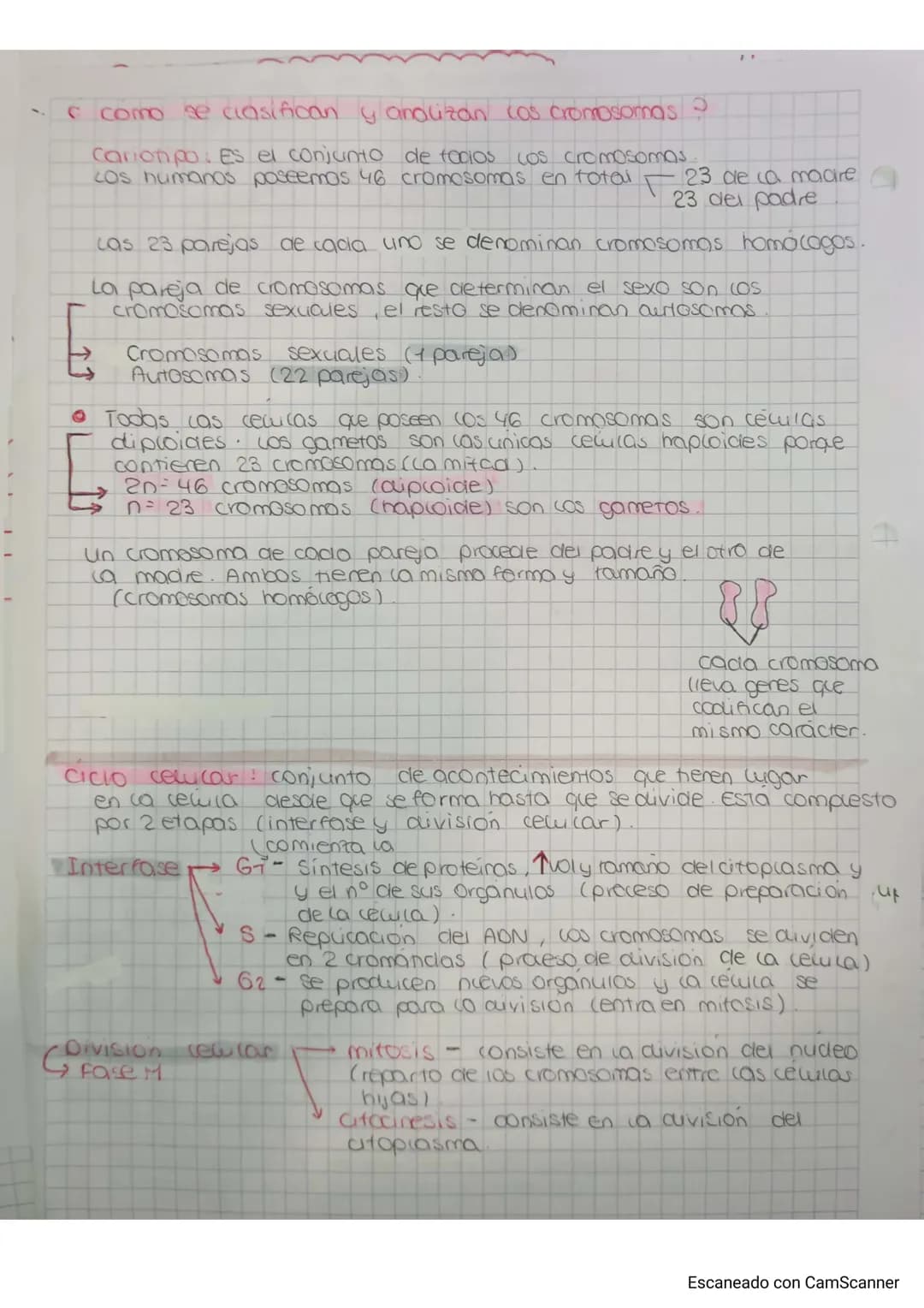 - Division cewlar: Proceso en el que una reuila se ouvide en 2
cellulas nijas.
- MITOSIS en celulas eucariotas.
- Dawgar a 2 cewlas hijas
