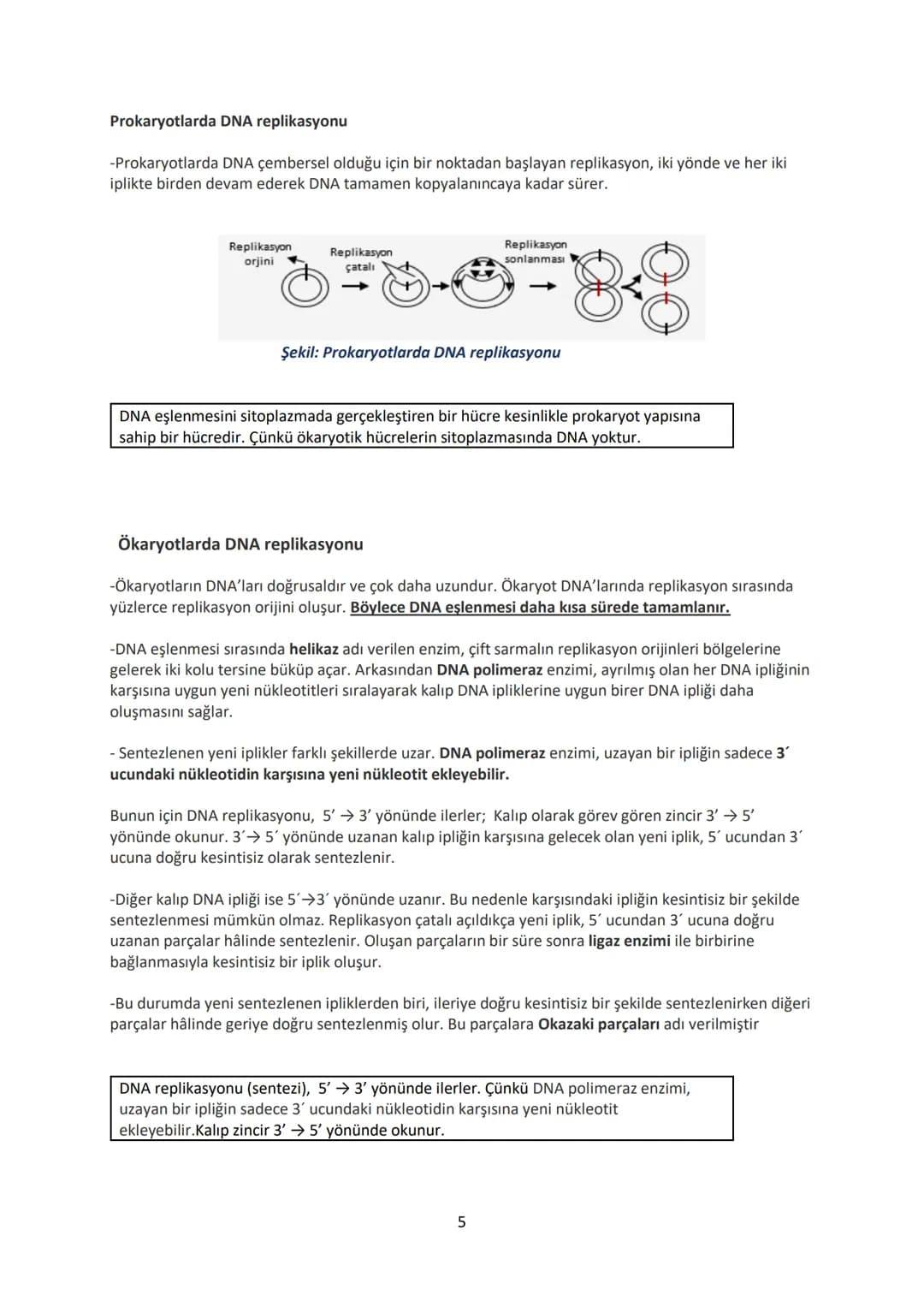 # 12.SINIF BİYOLOJİ DERS NOTU
# 1.ÜNİTE: GENDEN PROTEİNE
## Yönetici Moleküller ve Protein Sentezi
### YÖNETİCİ MOLEKÜLLER
DNA ve RNA ola