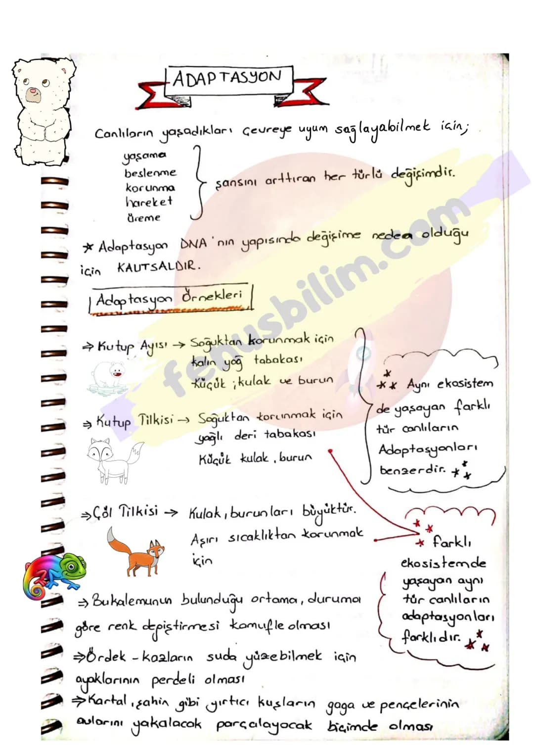 # ADAP TASYON
Canlıların yaşadıkları çevreye uyum sağlayabilmek için;
yaşama
beslenme
korunma
hareket
Öreme
}
şansını arttıran her türlü d