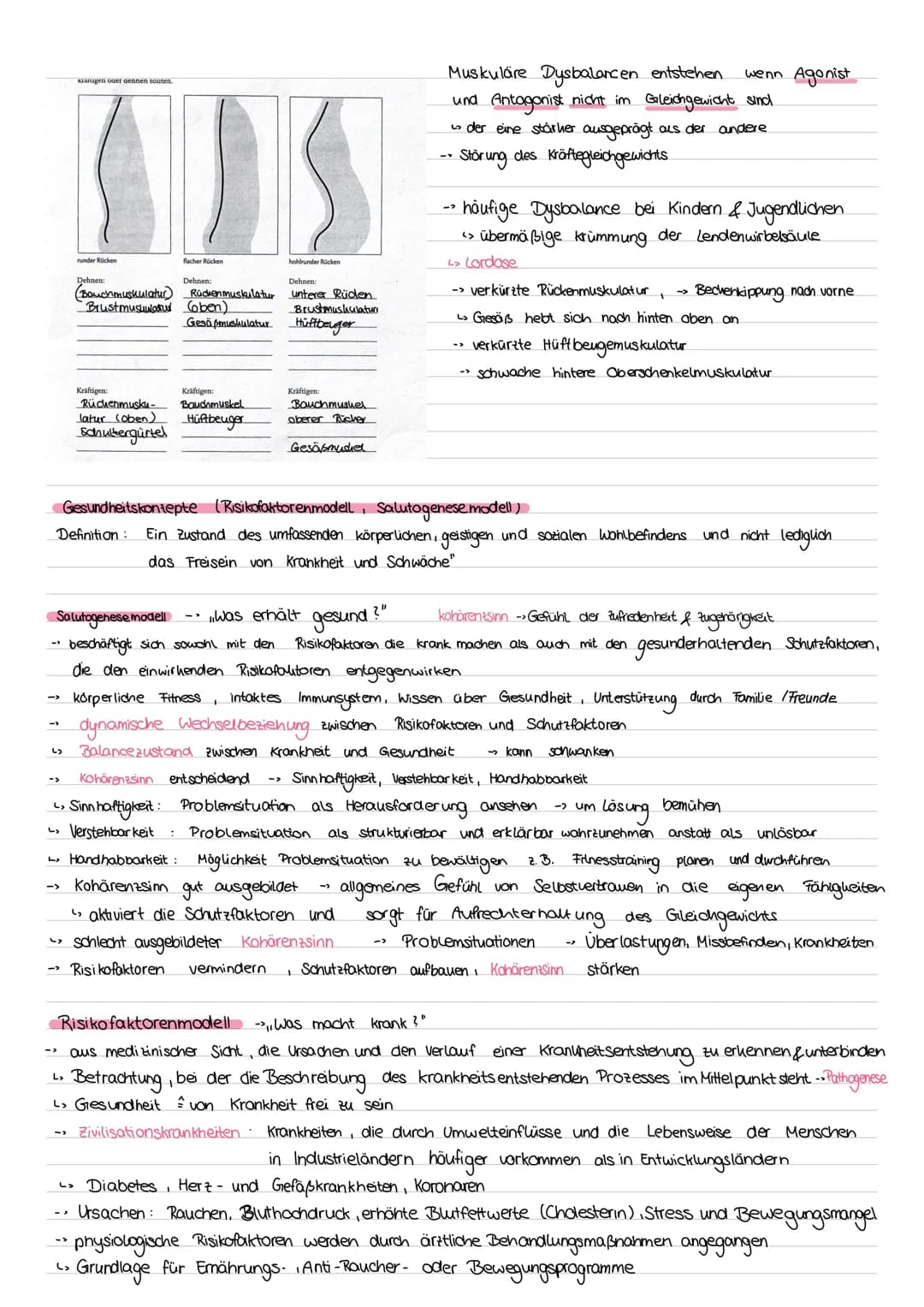 # Sport Klausur Nr.2 Q2
-Hauptmuskelgruppen der Skelettmuskulatur
- Sportbiologische Grundlagen II (Muskelaufbau, Greif-Loslass-Mechanismus