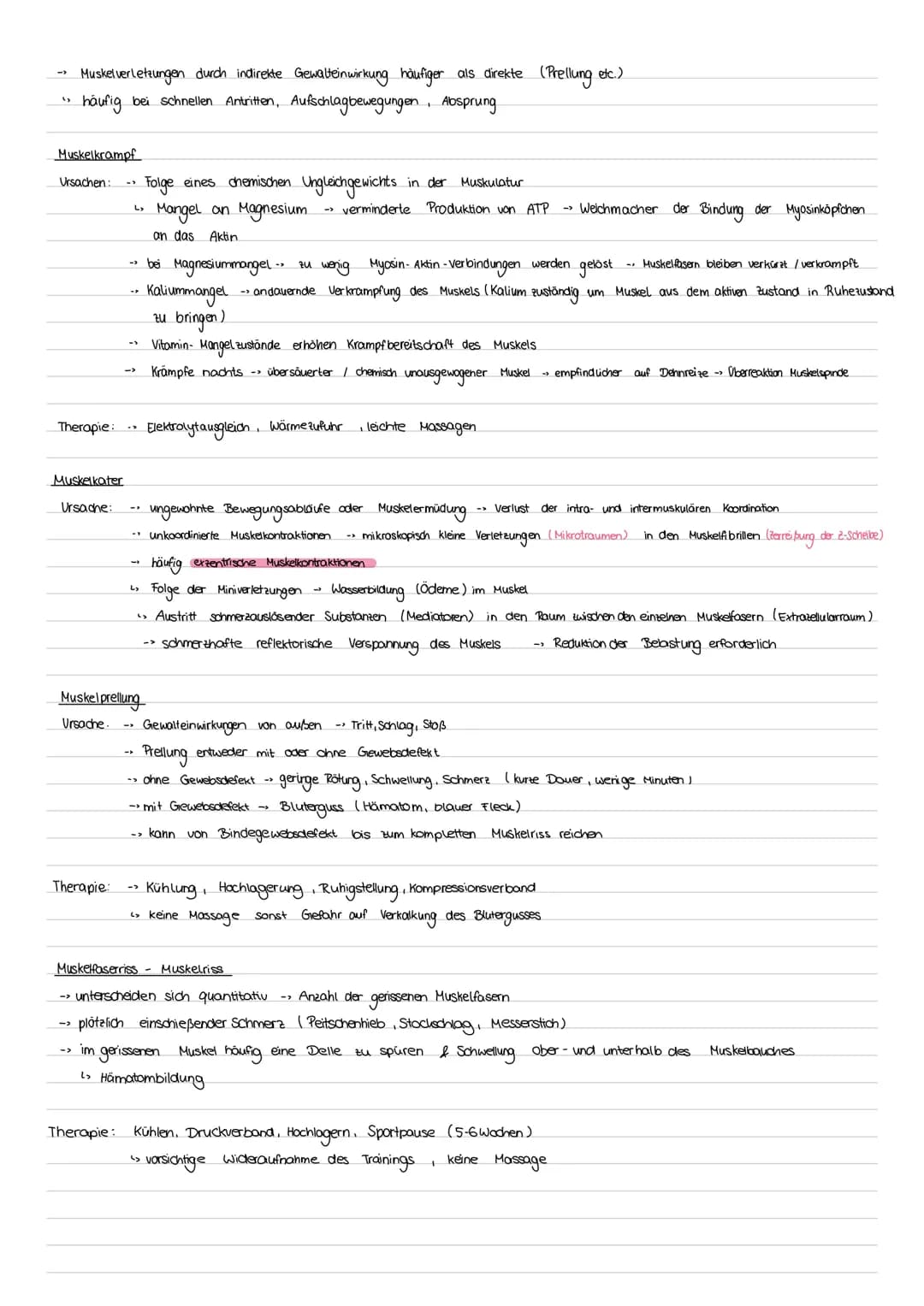 # Sport Klausur Nr.2 Q2
-Hauptmuskelgruppen der Skelettmuskulatur
- Sportbiologische Grundlagen II (Muskelaufbau, Greif-Loslass-Mechanismus