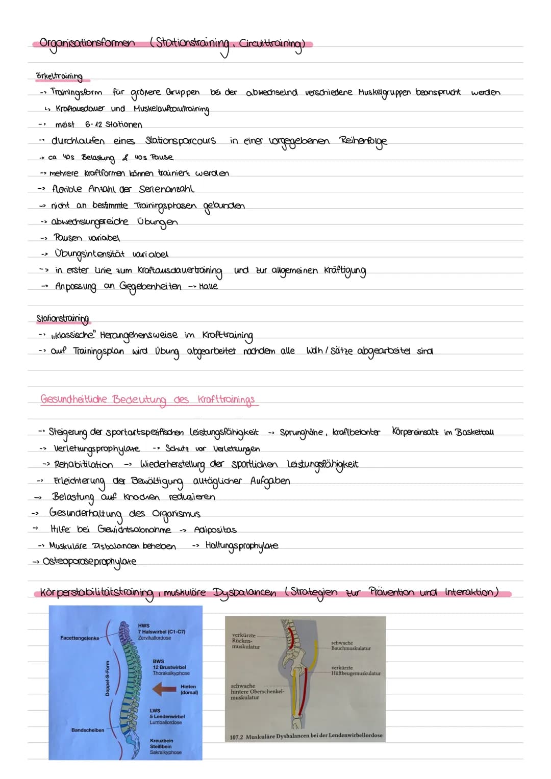 # Sport Klausur Nr.2 Q2
-Hauptmuskelgruppen der Skelettmuskulatur
- Sportbiologische Grundlagen II (Muskelaufbau, Greif-Loslass-Mechanismus