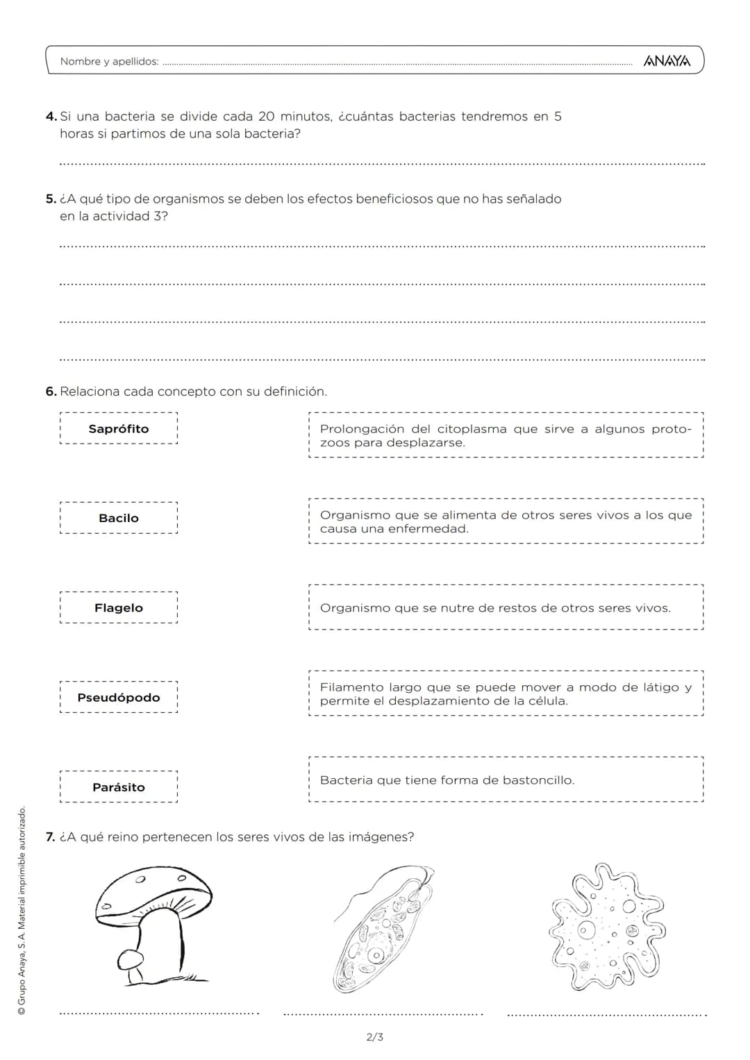 Evaluación
Nombre y apellidos:
Curso:
1. ¿Cuál de las siguientes estructuras no está presente nunca en las bacterias?
Ribosoma
Cloropla