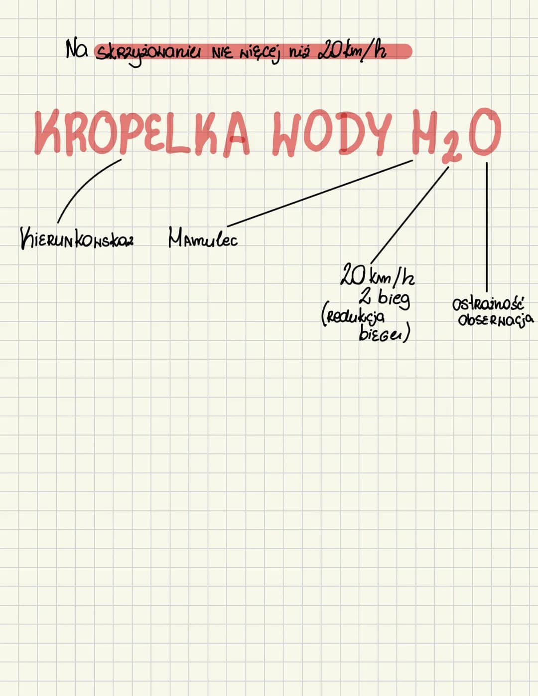 A1 FiLiP C.S KOT
Fotel
lusterka Pasy
Shiatia
Szukamy
kota
CZERNONE KONTROLKI
Prozwid Towo naciągnięty
Pas
między klatką Piersioną i prez
