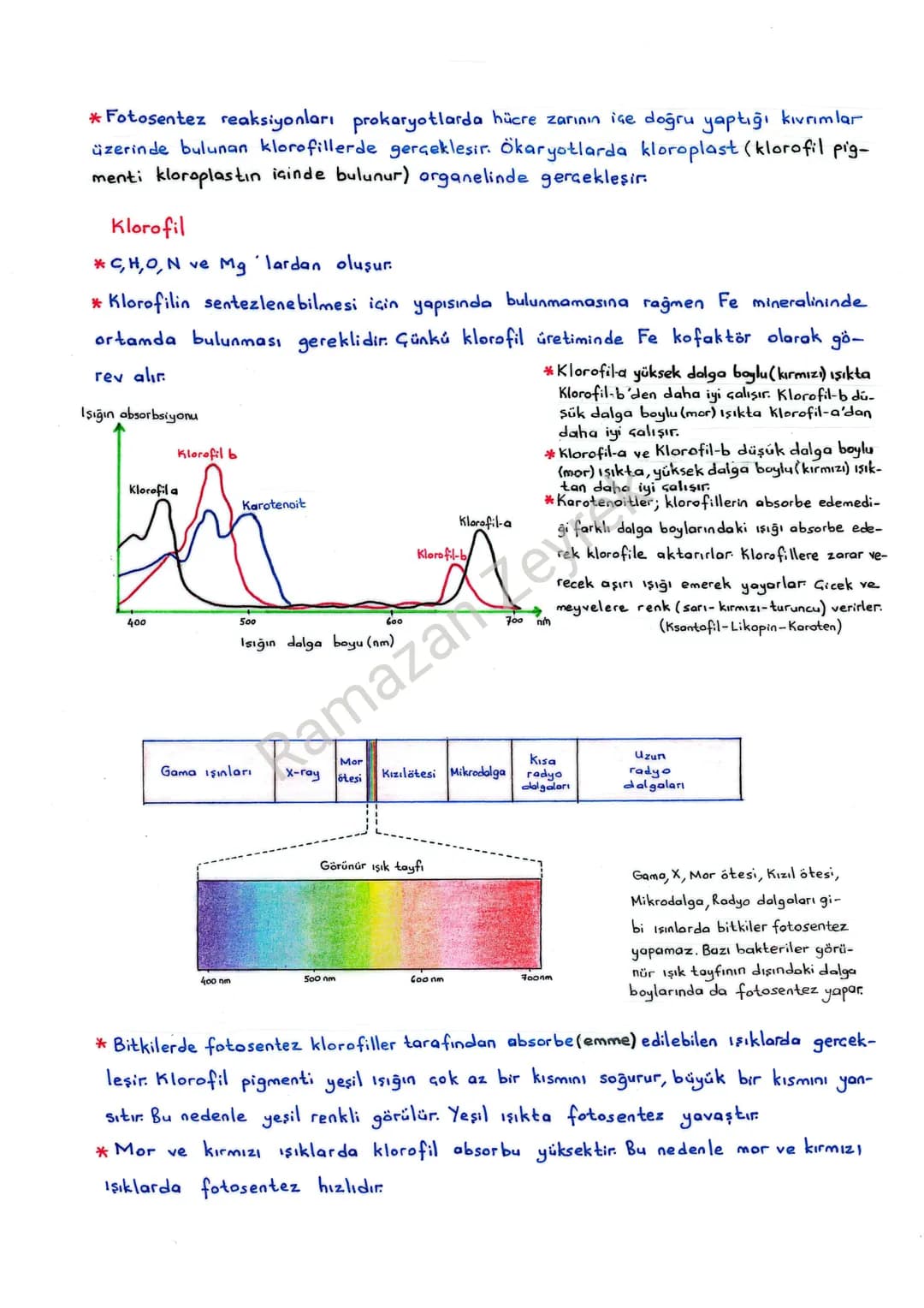 # FOTOSENTEZ
* Inorganik maddelerden (CO₂, H₂O yada H₂S) ışık enerjisi kullanılarak organik besin
(Glikoz, Yağ asidi, Gliserol, Aminoasit,
