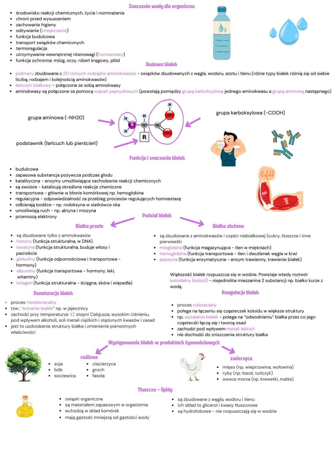 # Biologia - dział 2
Pierwiastki chemiczne
To podstawowe składniki chemiczne każdego organizmu. Dzielimy je na:
* Makroelementy - pierw