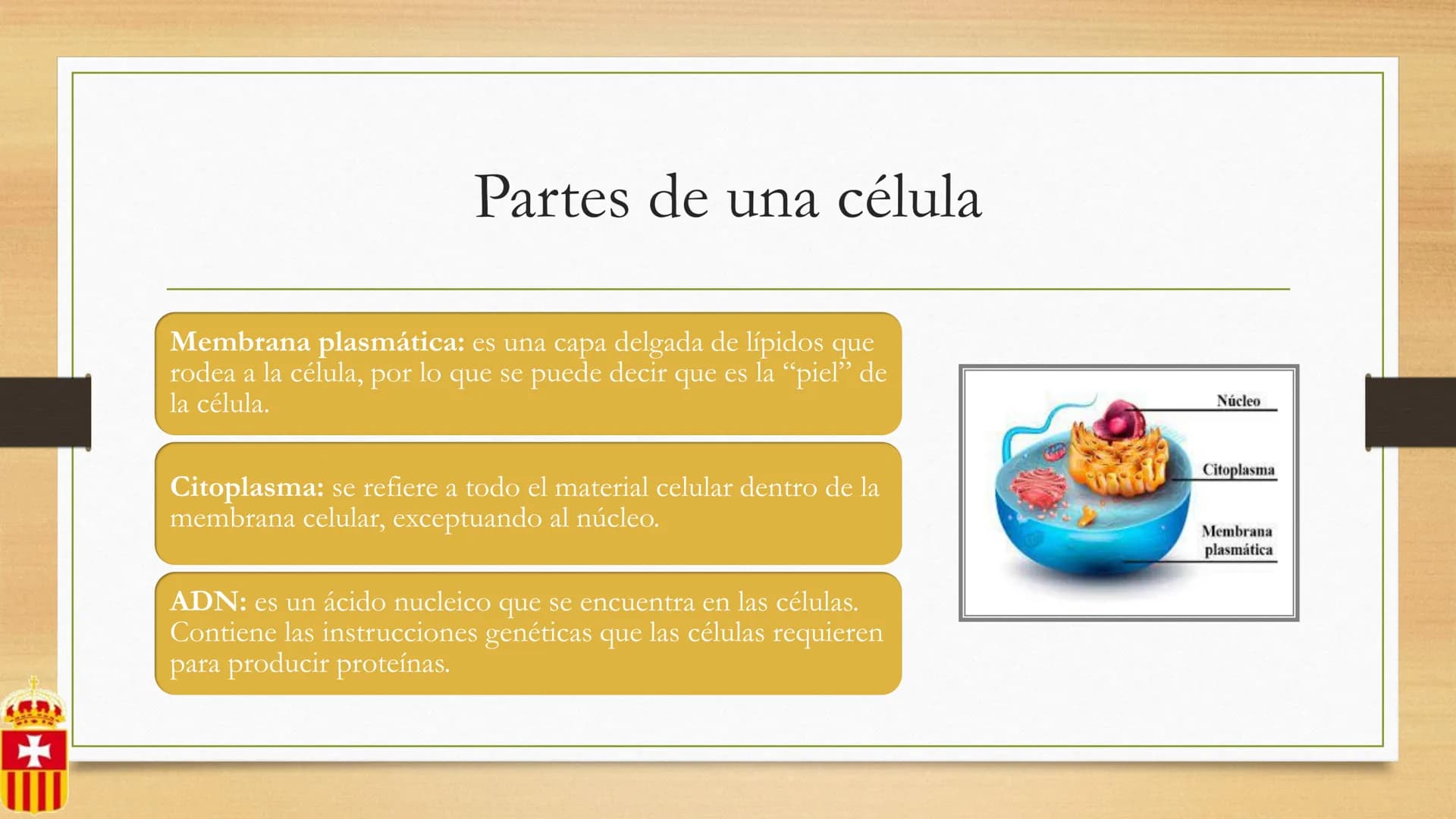 +
# CÉLULA
Prof. Macarena De Yong
4° año
MUN LA CUIDAMOS TODOS, TODOS, TODO
RREDUCIRO
ALA
RECICLAR # Definición
La célula es la unidad est