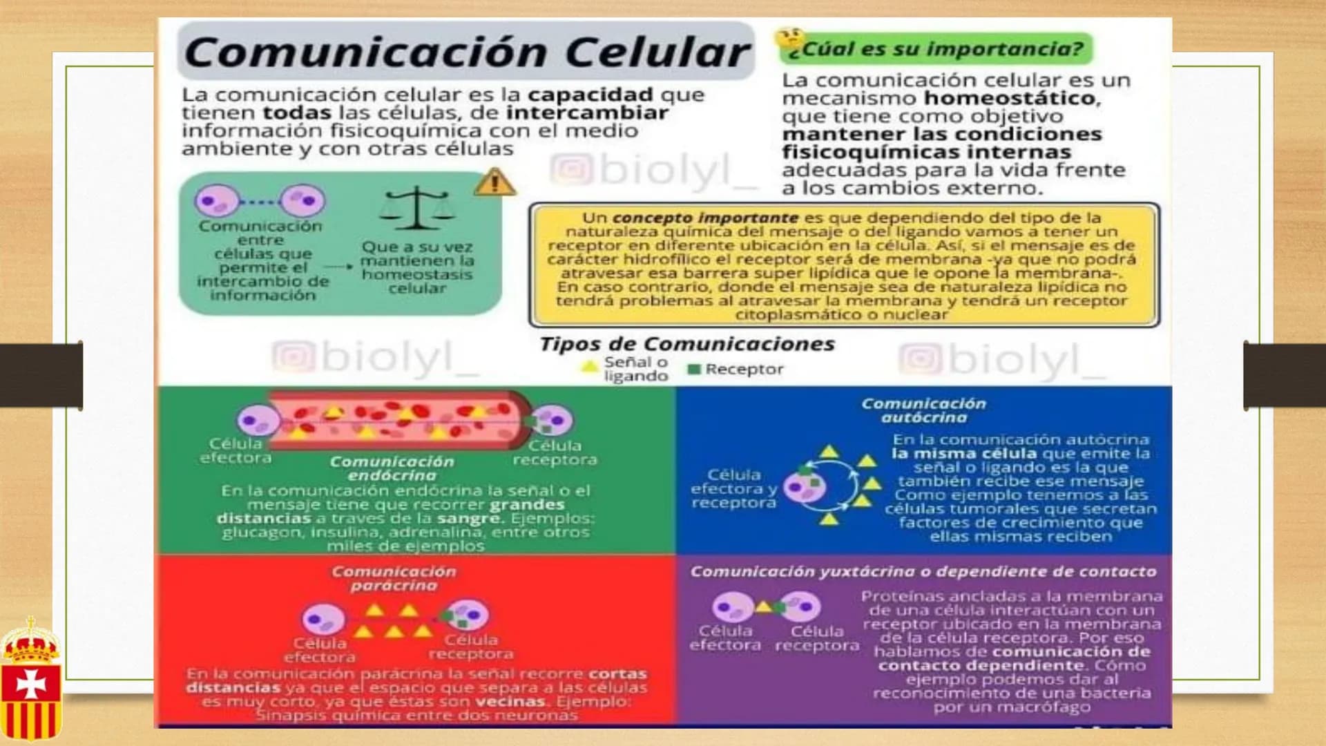 +
# CÉLULA
Prof. Macarena De Yong
4° año
MUN LA CUIDAMOS TODOS, TODOS, TODO
RREDUCIRO
ALA
RECICLAR # Definición
La célula es la unidad est