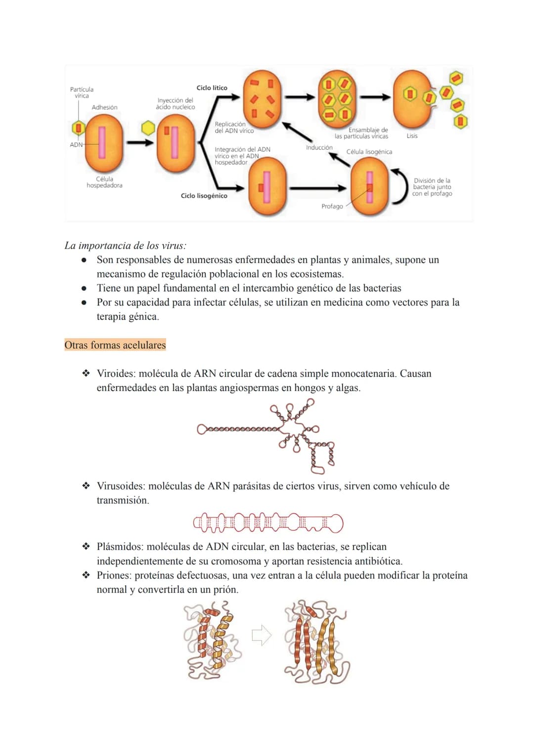 # TEMA 7 MICROORGANISMOS Y
# FORMAS ACELULARES
1. Microorganismos: concepto y diversidad
El término microorganismo hace referencia a un gr