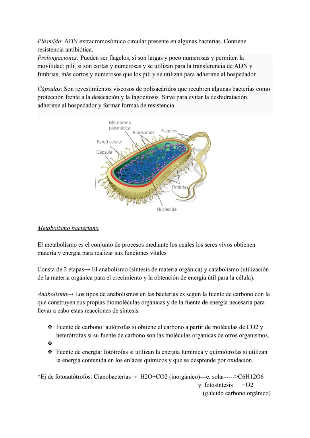 # TEMA 7 MICROORGANISMOS Y
# FORMAS ACELULARES
1. Microorganismos: concepto y diversidad
El término microorganismo hace referencia a un gr