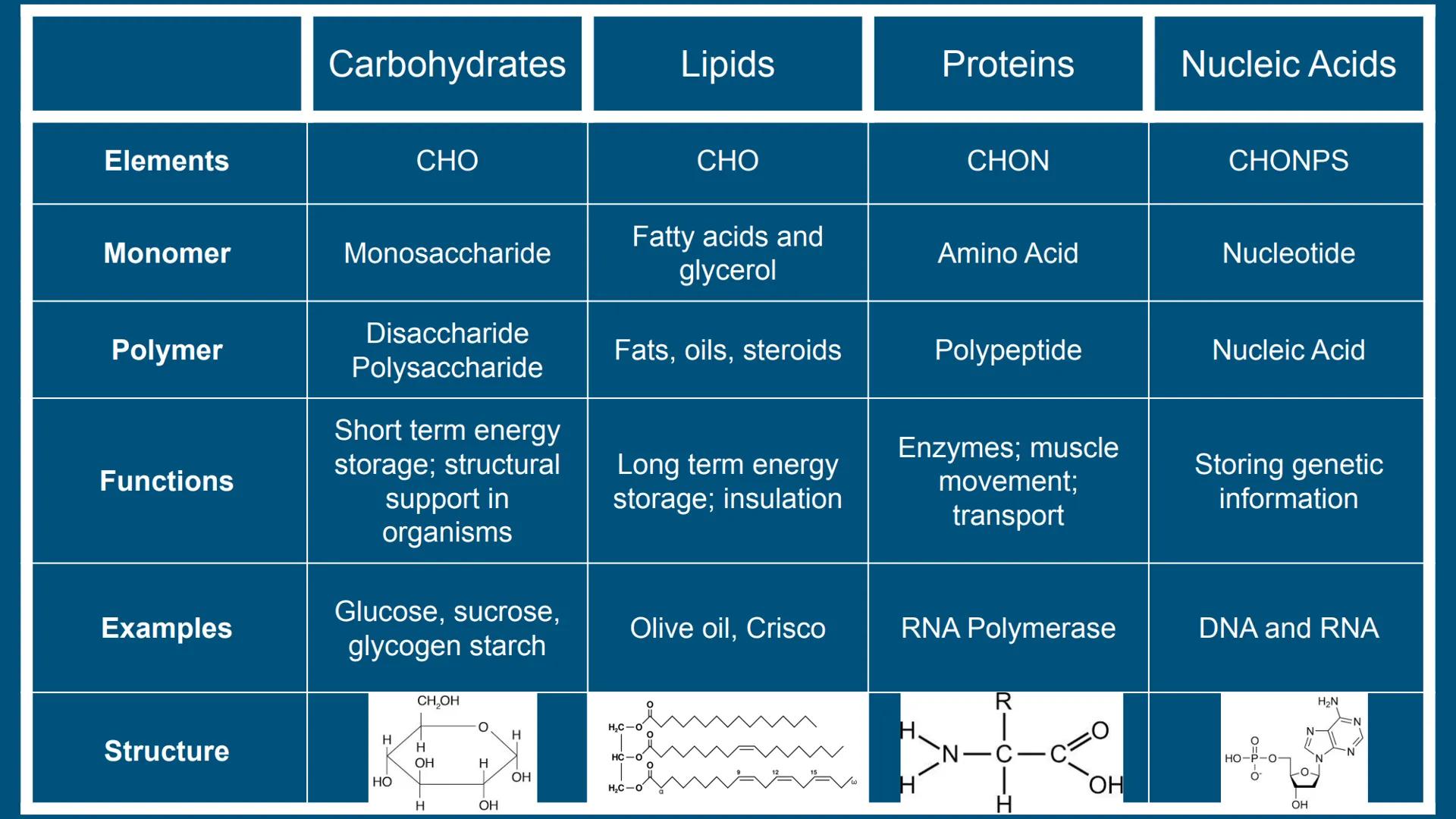 # Benchmark Review
Benchmark 12/18/24 Unit 1: Biomolecules
Understandings & Questions
The function of biomolecules, including carbohydrate