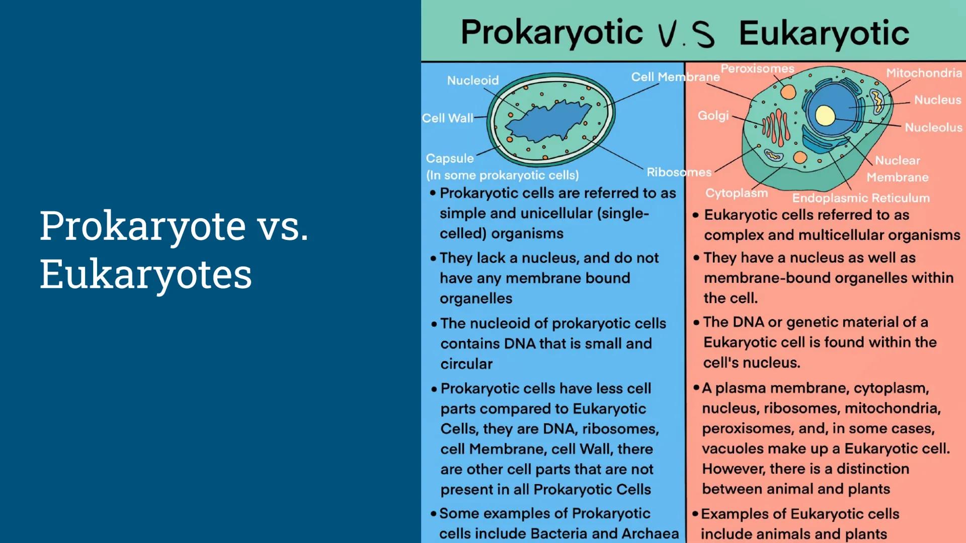 # Benchmark Review
Benchmark 12/18/24 Unit 1: Biomolecules
Understandings & Questions
The function of biomolecules, including carbohydrate