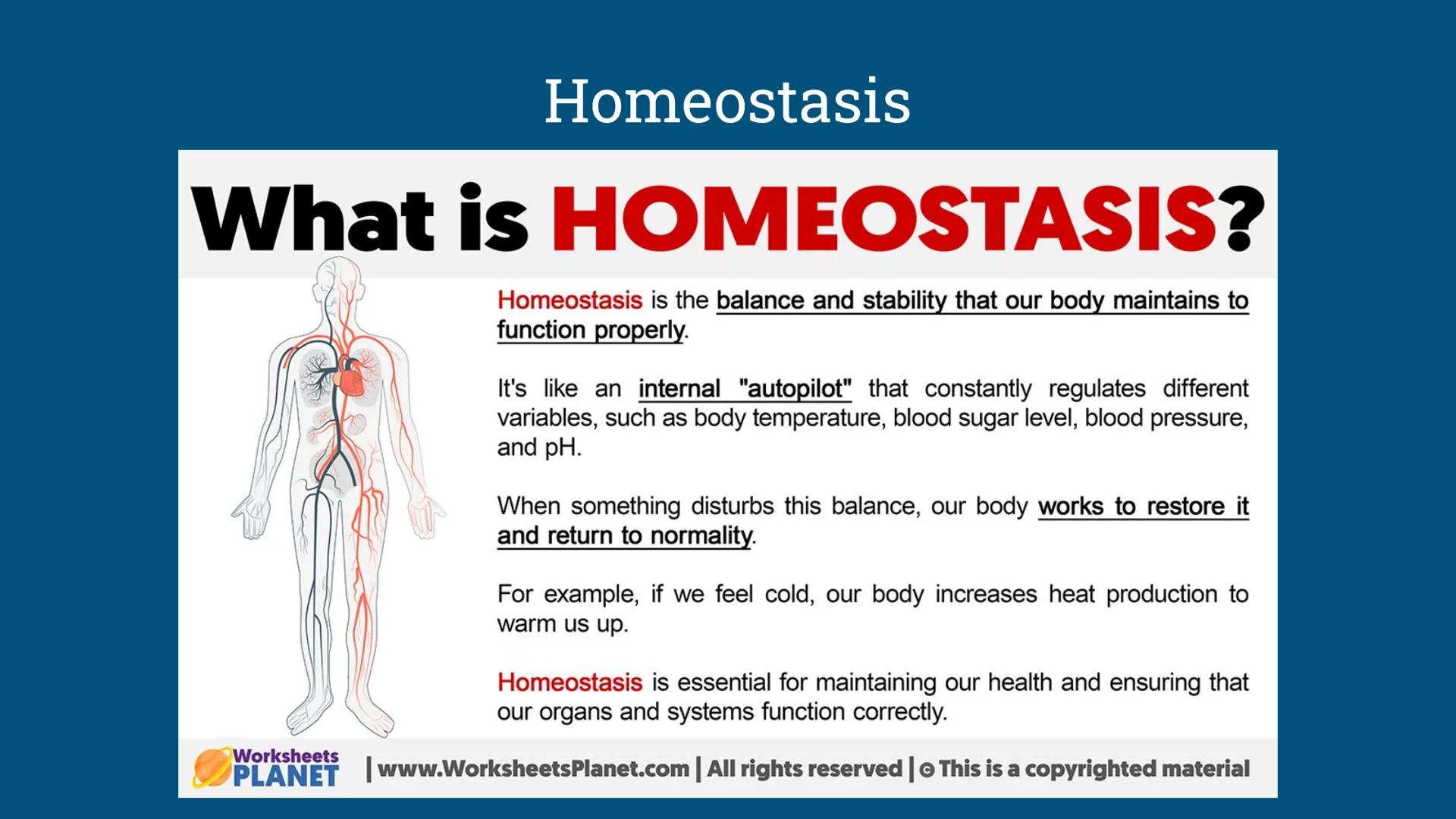 # Benchmark Review
Benchmark 12/18/24 Unit 1: Biomolecules
Understandings & Questions
The function of biomolecules, including carbohydrate