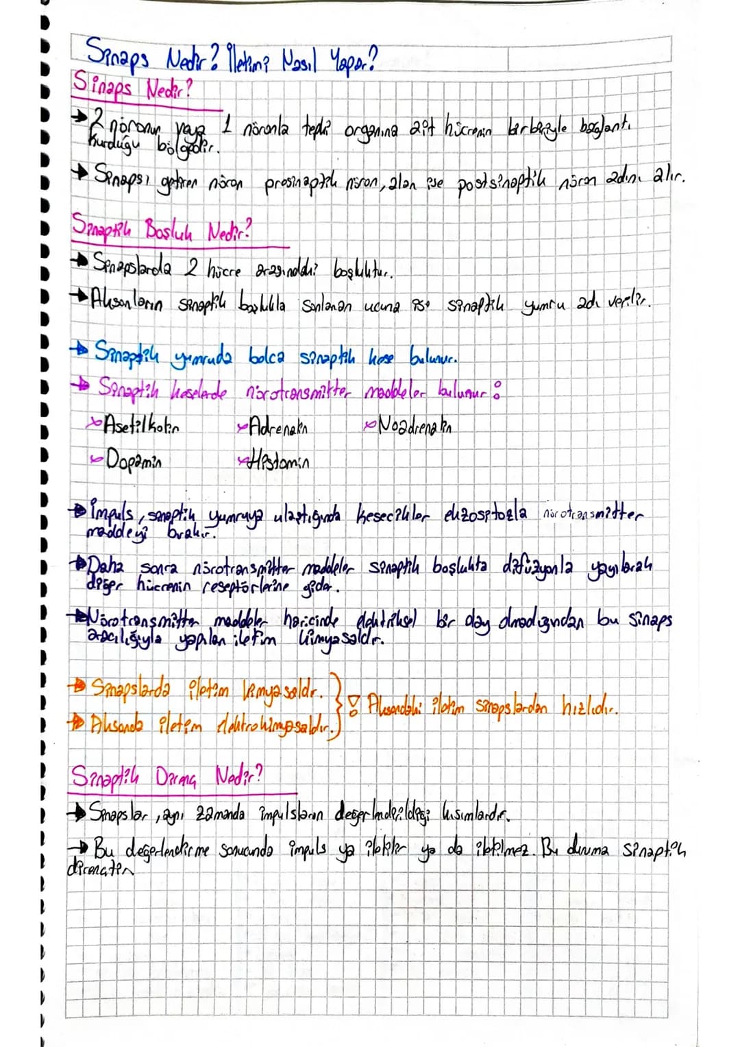 # Sinir Sistemi-1. Föy
Sinir Doku
•Sinir hücrelerine nöron denir.
• Noxanlar sındıazamlarını özelles, cum kaybettiklerinden bölünemezler.