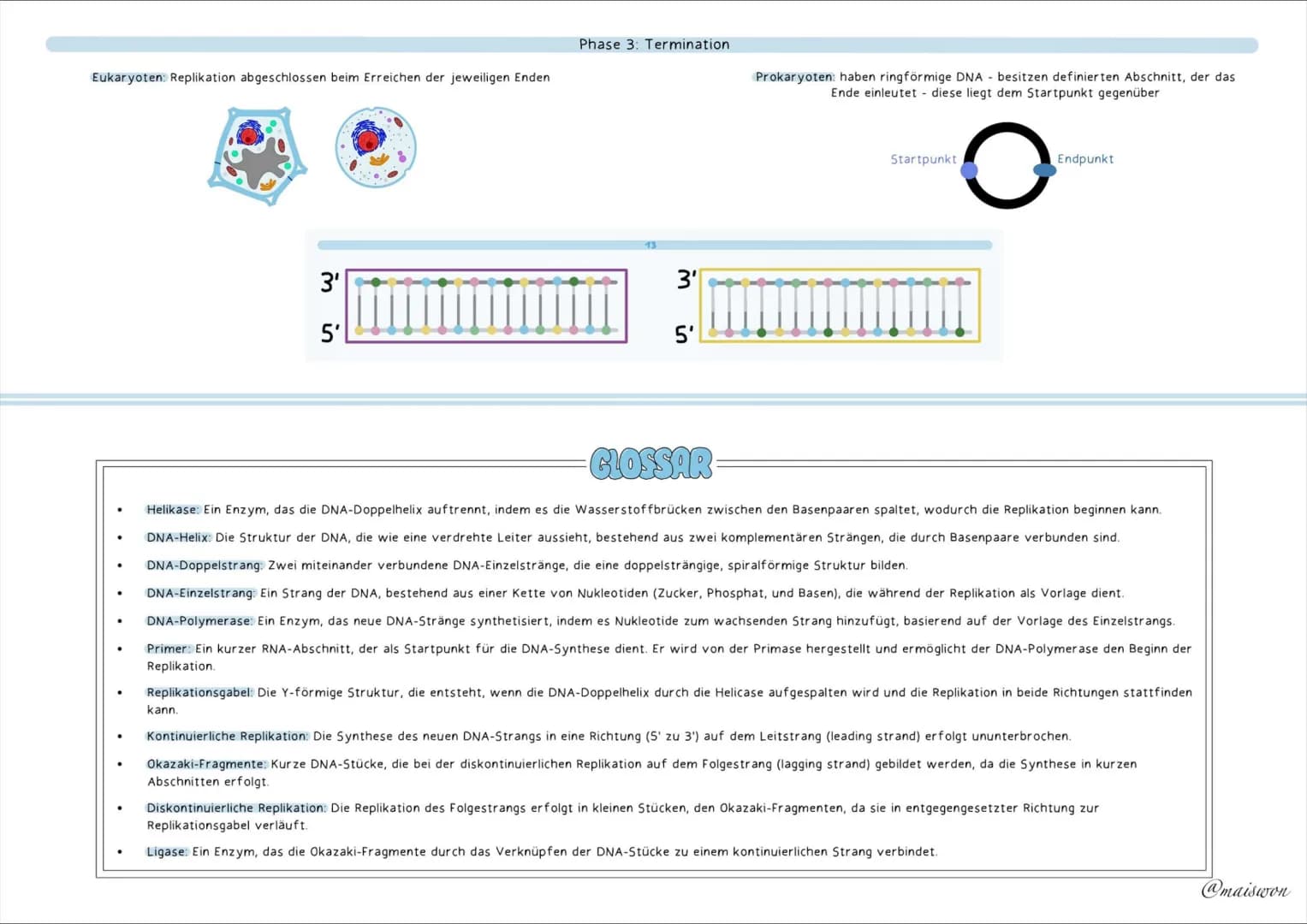GENETIK # AUFBAU=DNA
die DNA (Desoxyribonucleinsäure) st der Träger unserer Erbinformation
• kommt in jeder Zelle von Lebewesen vor - ist