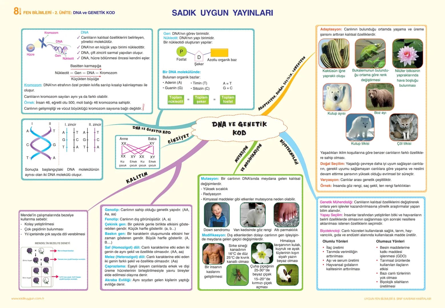 # 8 FEN BİLİMLERİ - 1. ÜNİTE: MEVSİMLER VE İKLİM
SADIK UYGUN YAYINLARI
Dünya'nın Duruşu: Kuzey ve Güney kutuplarını Dünya'nın
merkezinden