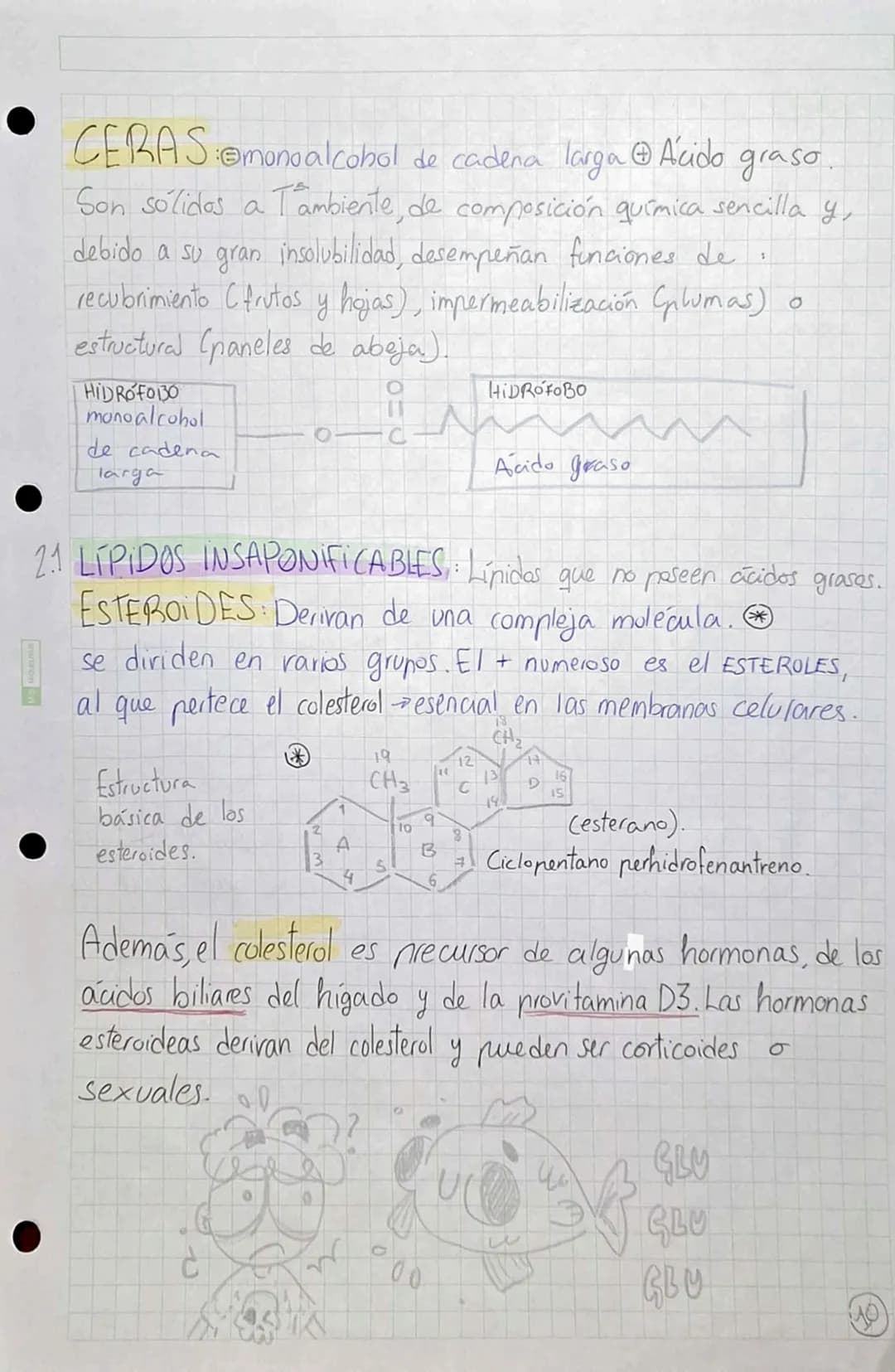 •
•
•
# BIOMOLÉCULAS ORGÁNICAS
•Formadas por Carbono, Hidrógeno, Oxígeno y Mitrógeno.
• Su estructura puede ser simple o compuesta,
dependie