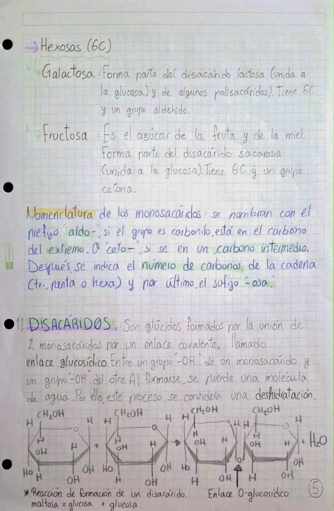 •
•
•
# BIOMOLÉCULAS ORGÁNICAS
•Formadas por Carbono, Hidrógeno, Oxígeno y Mitrógeno.
• Su estructura puede ser simple o compuesta,
dependie