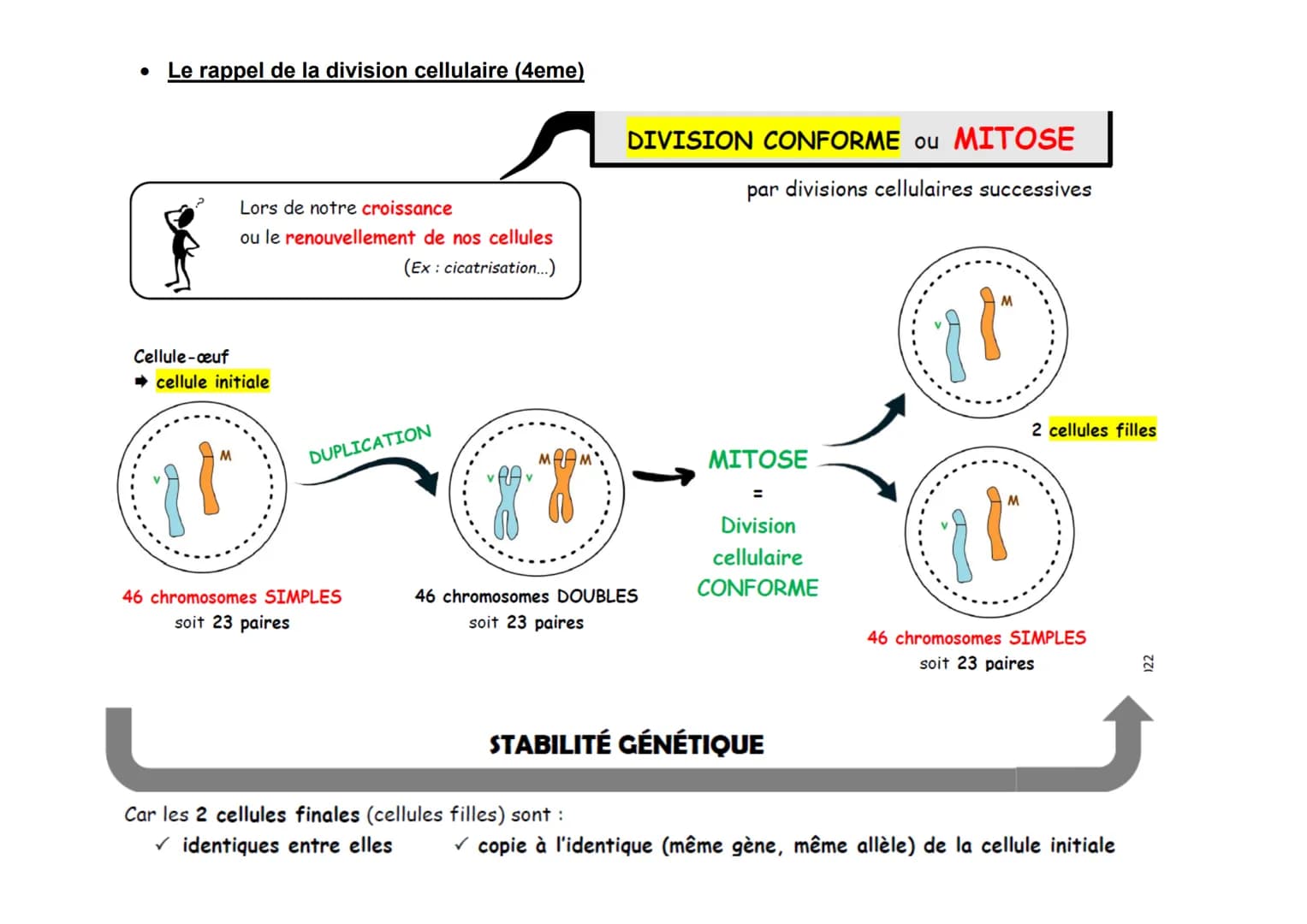 Evaluation.
1. Les notions que je dois revoir: toutes les notions vues dans la parti
Aidez vous des questions de la fiche de mémorisation..