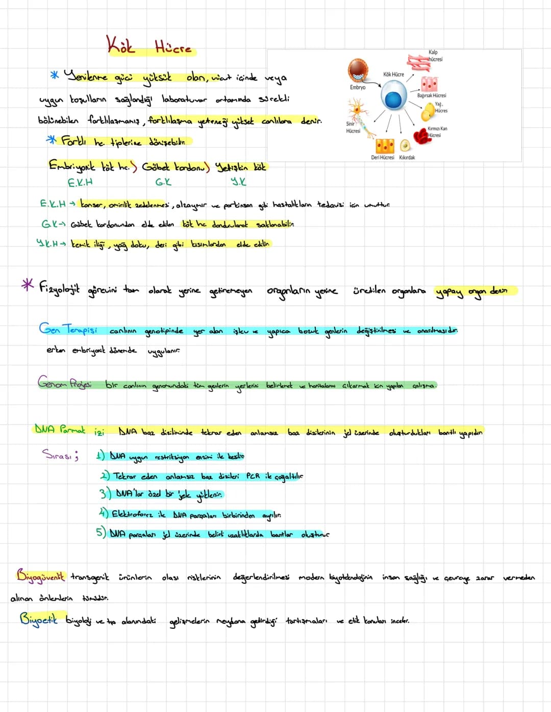 Biyoloji
... Genden Proteine
Fare Deneyi/Griffith Deney!
1. Kapsülsüz bakteriler enjekte edildiğinde fare yaşar.
2. Kapsülla bakteriler f
