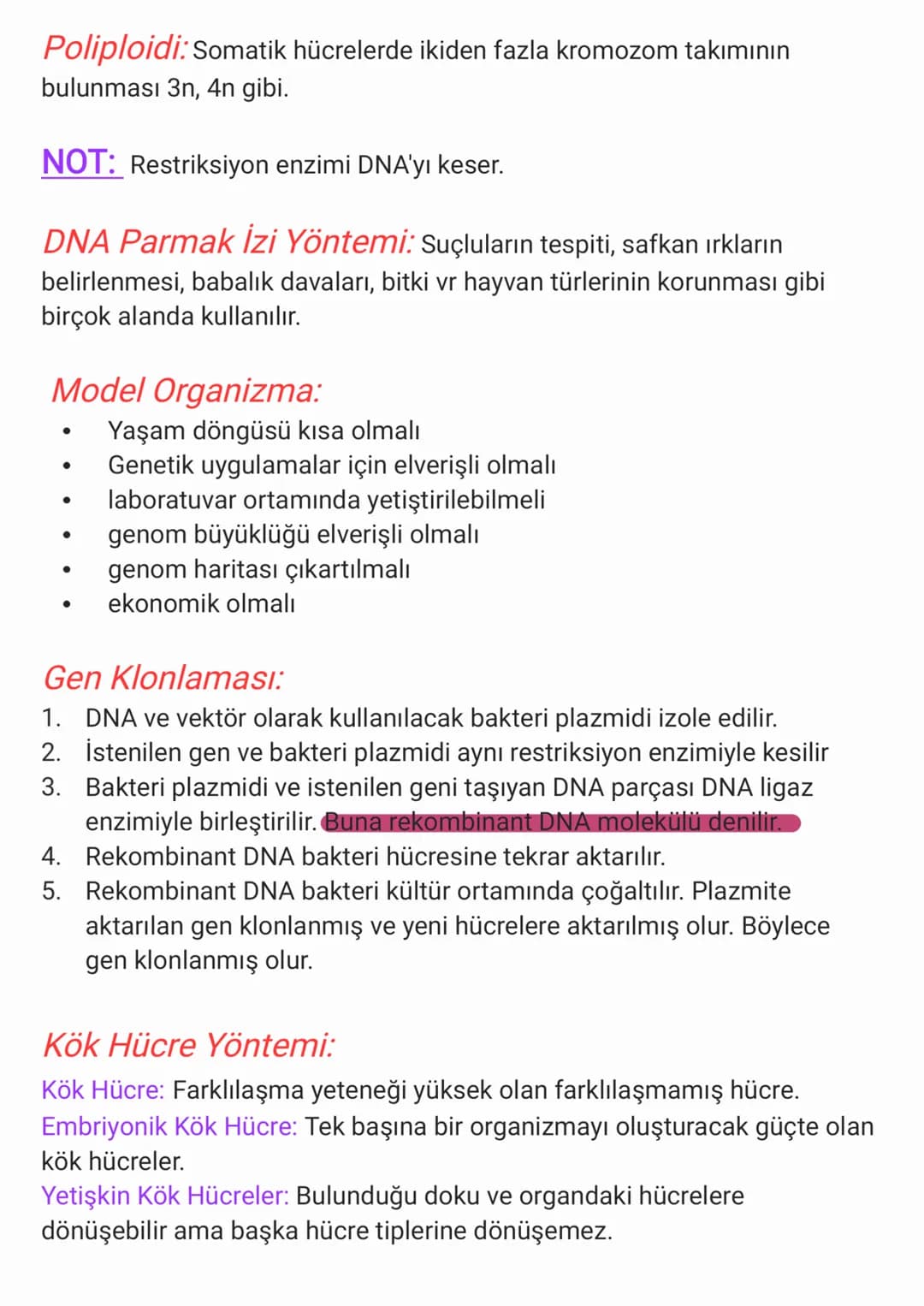Rna: Prokaryot hücrelerde sitoplazma ve ribozomda, ökaryot hücrelerde
çekirdek, sitoplazma ve bazı organellerde bulunur. Bütün RNA çeşitleri